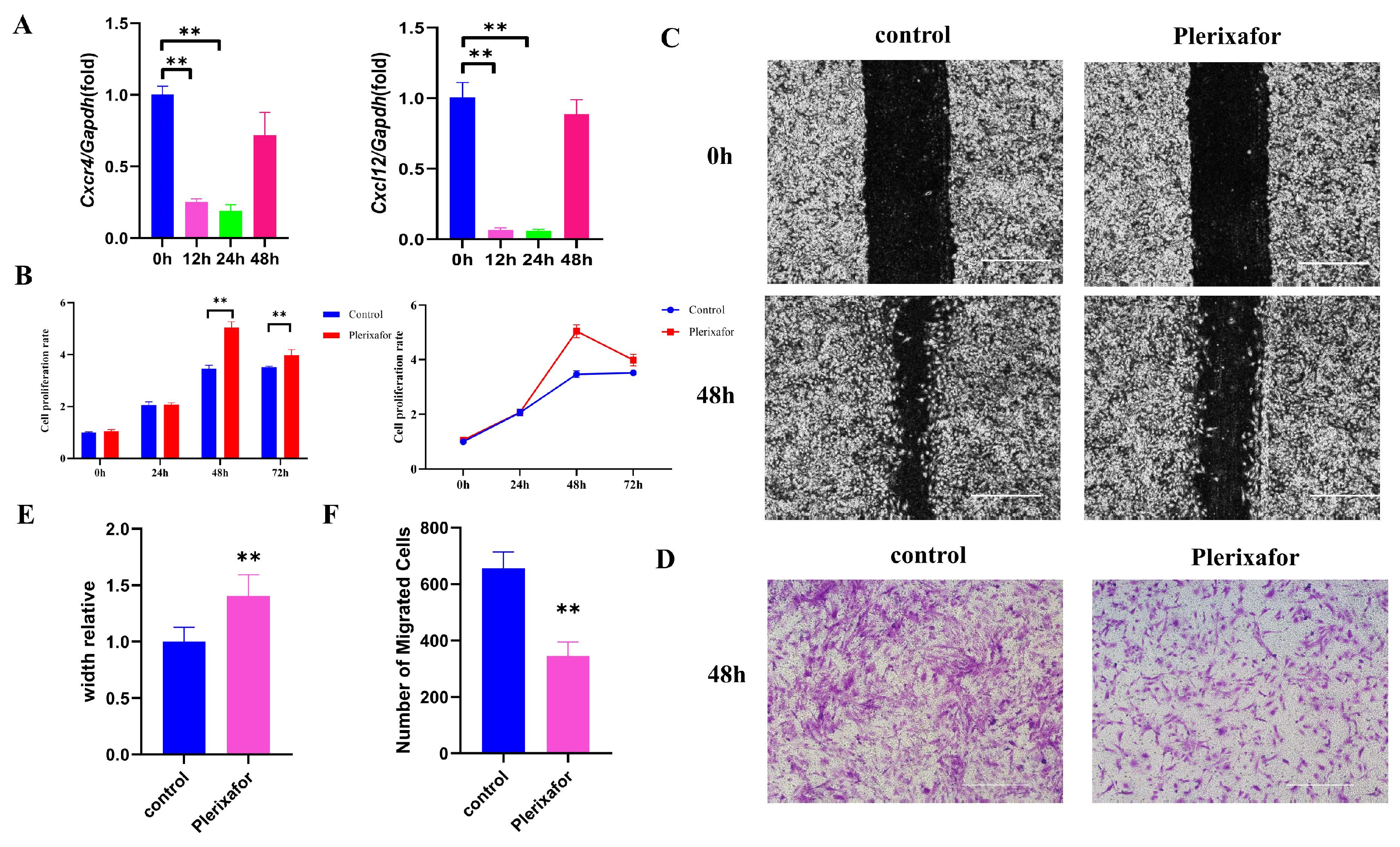 Ijms 24 12740 g002 Ijms 24 12740 g002