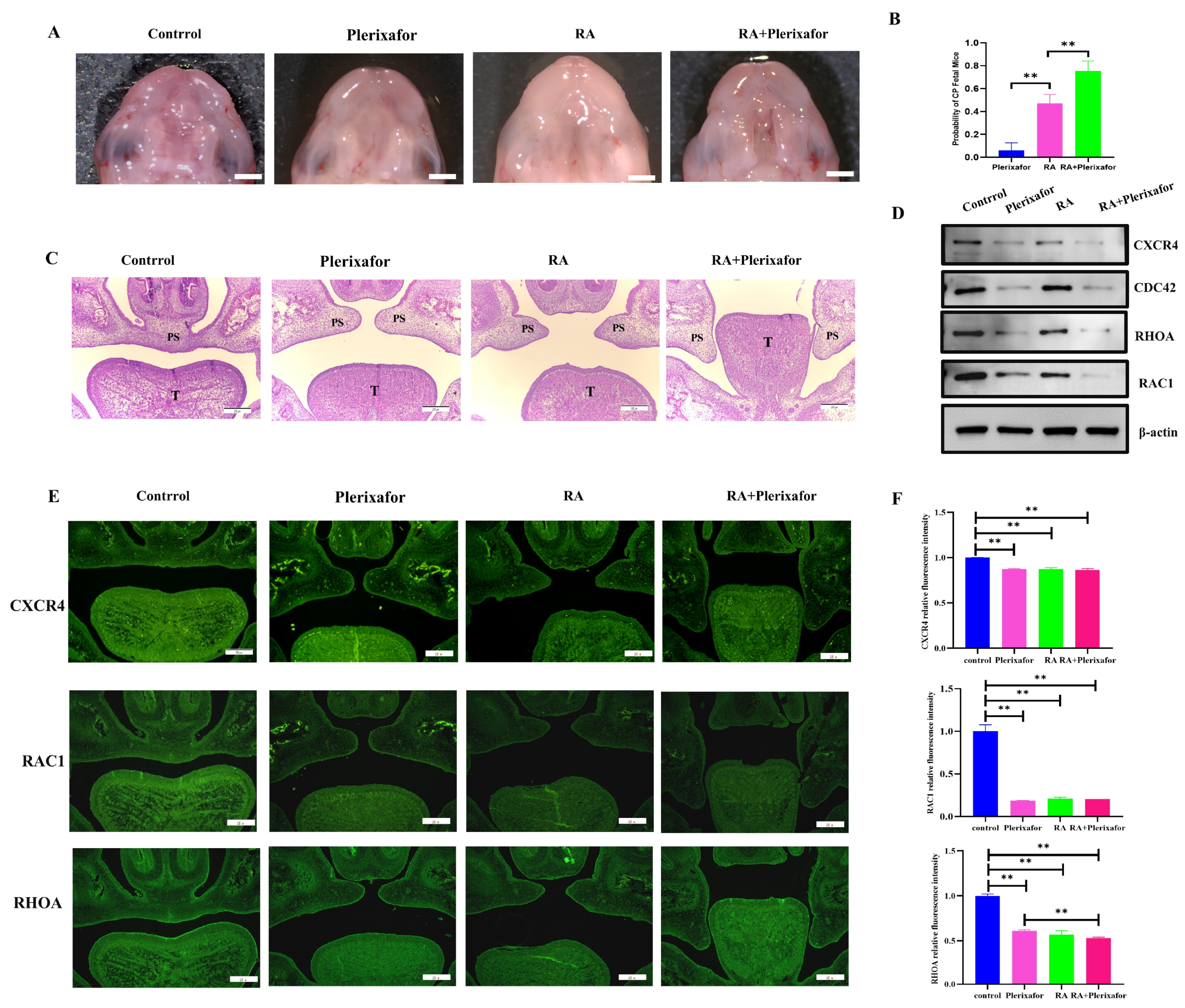 Ijms 24 12740 g004 Ijms 24 12740 g004