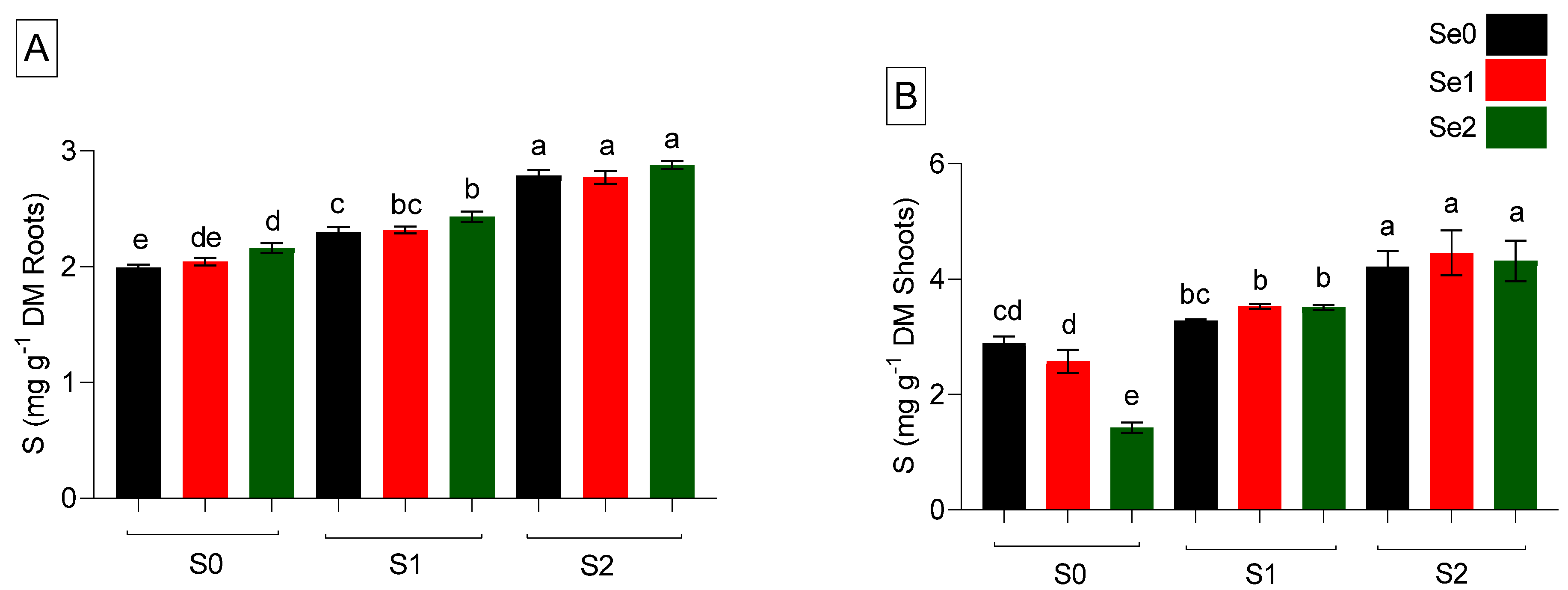Ijms 24 12766 g002 Ijms 24 12766 g002