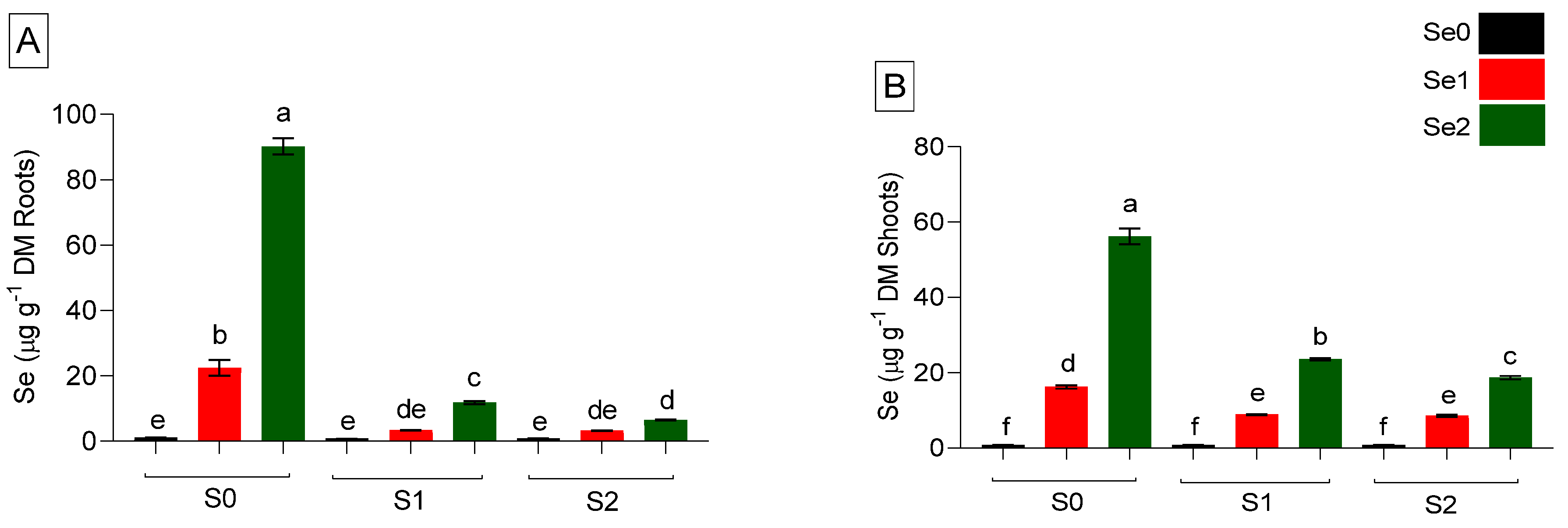 Ijms 24 12766 g003 Ijms 24 12766 g003