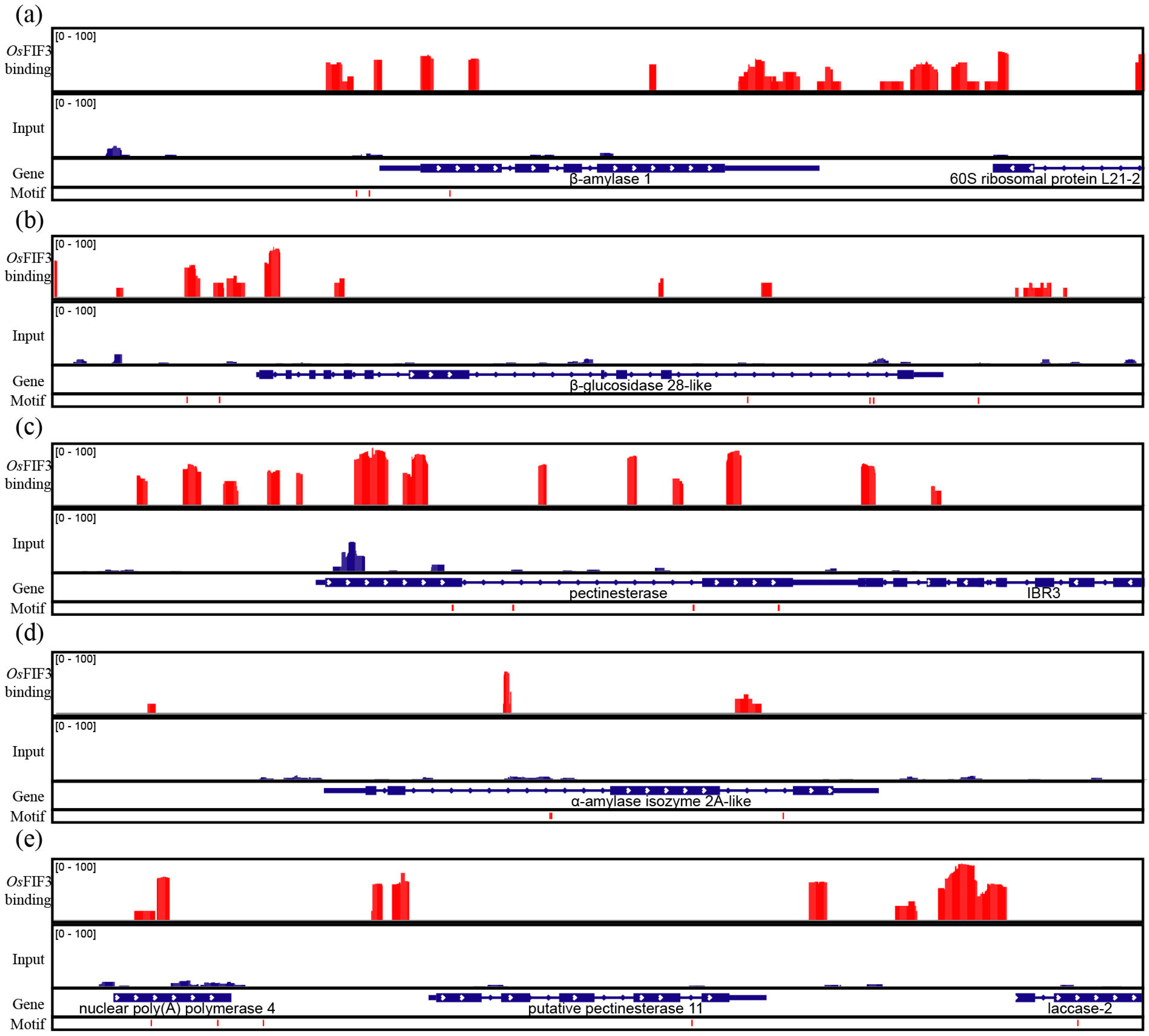 Ijms 24 12778 g005 Ijms 24 12778 g005