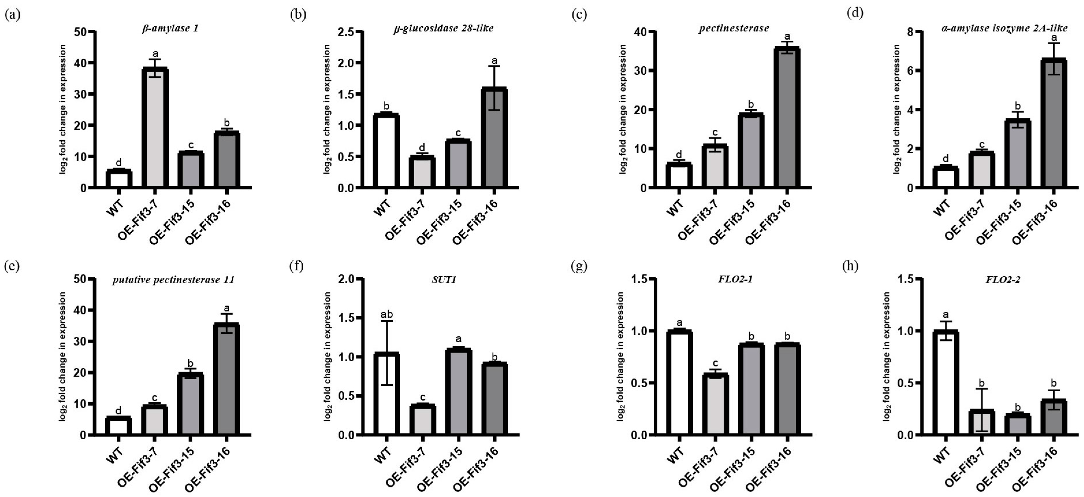 Ijms 24 12778 g006 Ijms 24 12778 g006