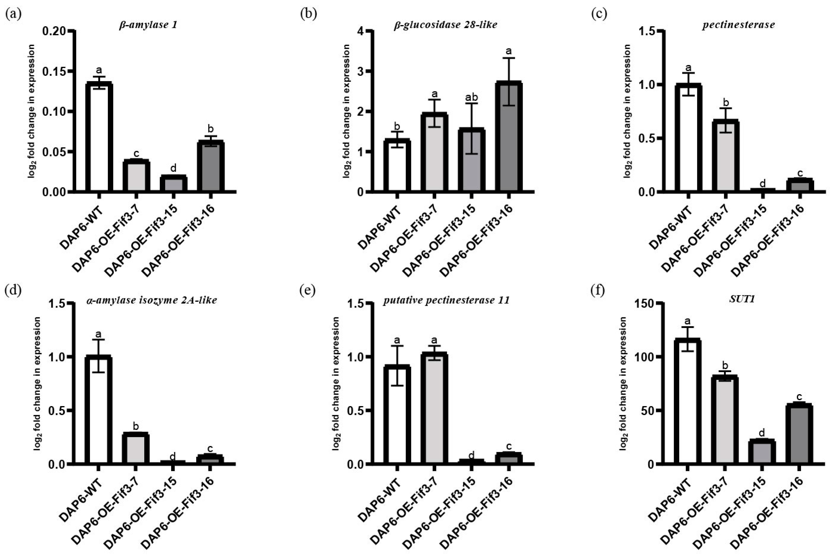 Ijms 24 12778 g007 Ijms 24 12778 g007