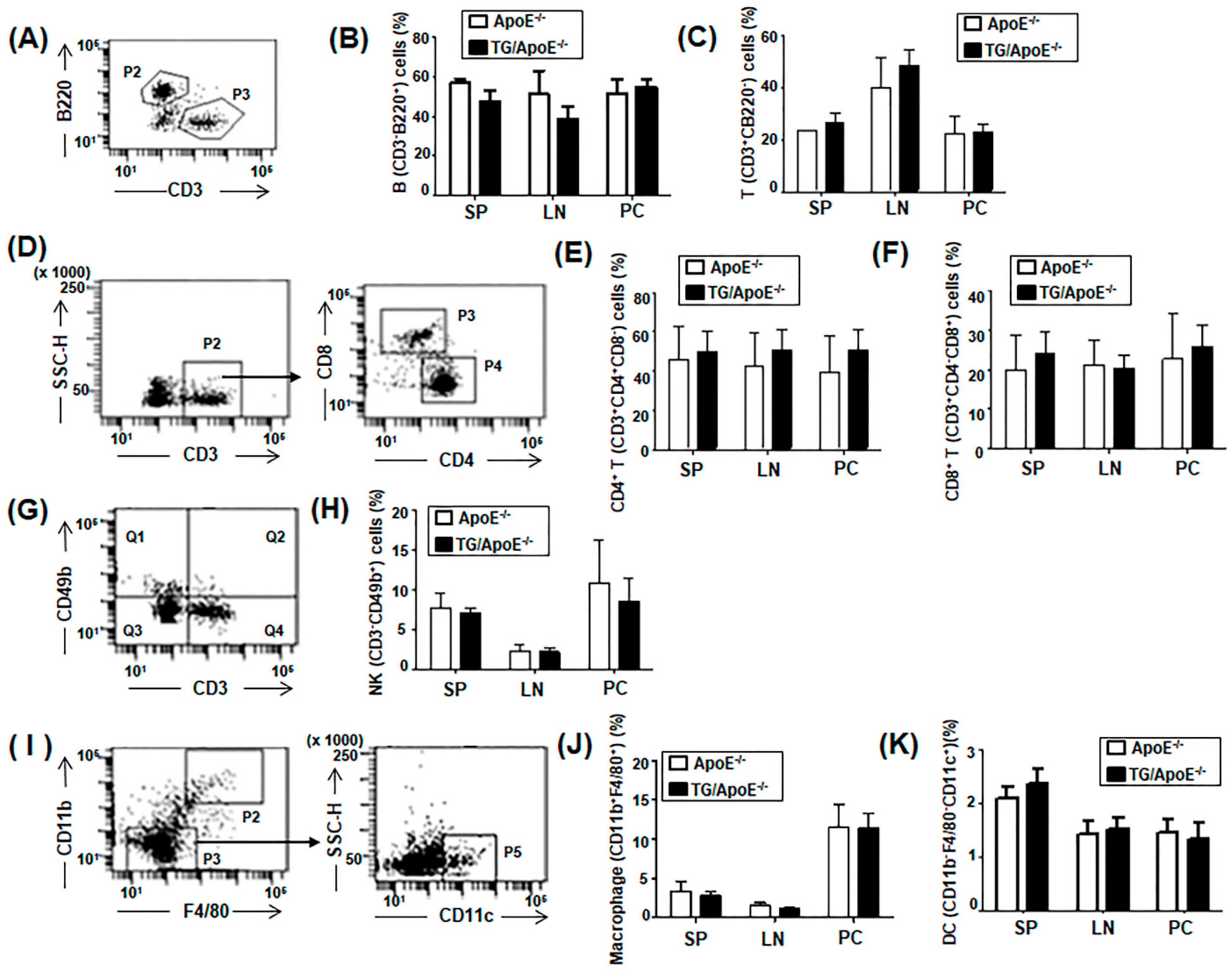Ijms 24 12785 g002 Ijms 24 12785 g002
