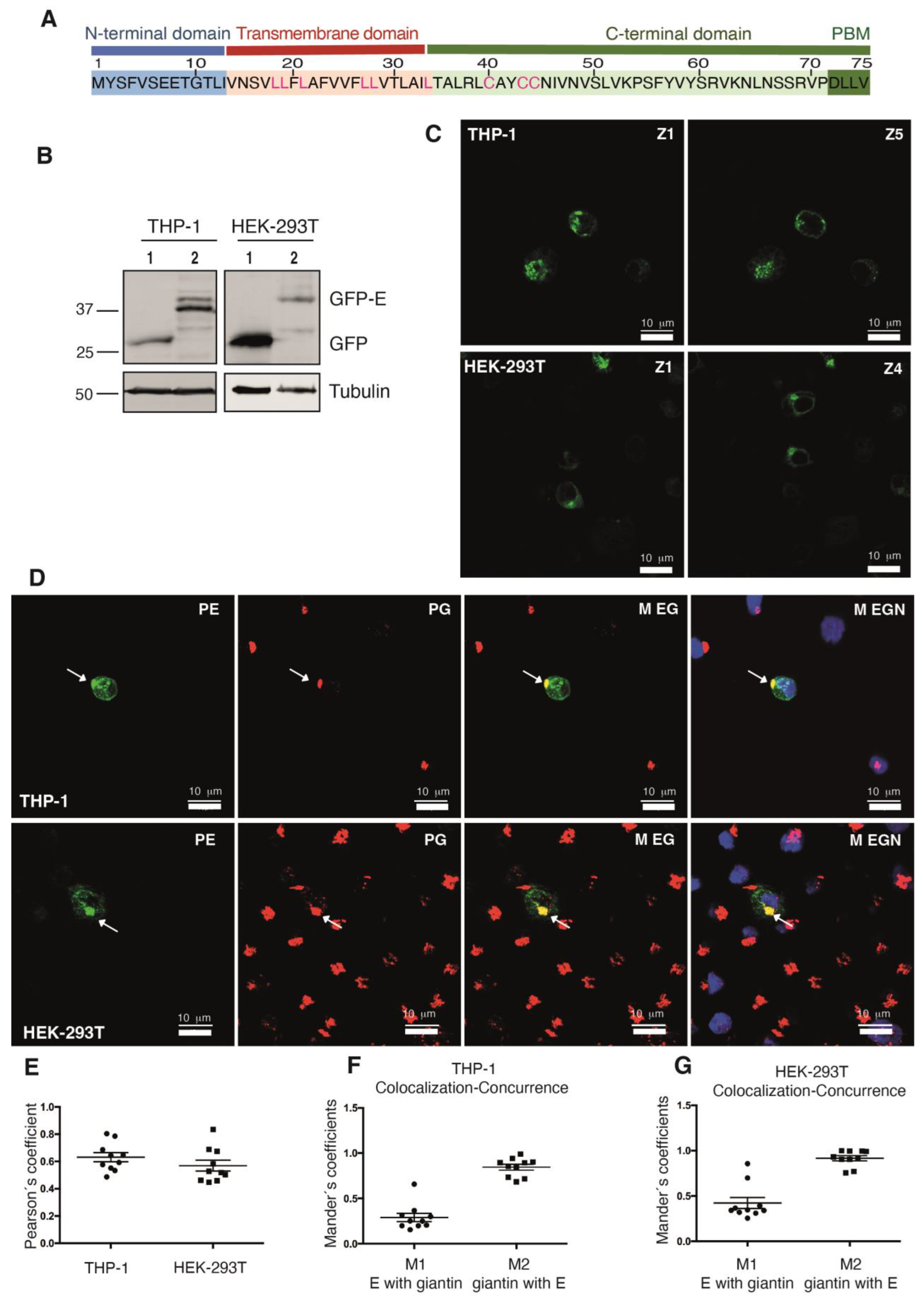Ijms 24 12793 g001 Ijms 24 12793 g001