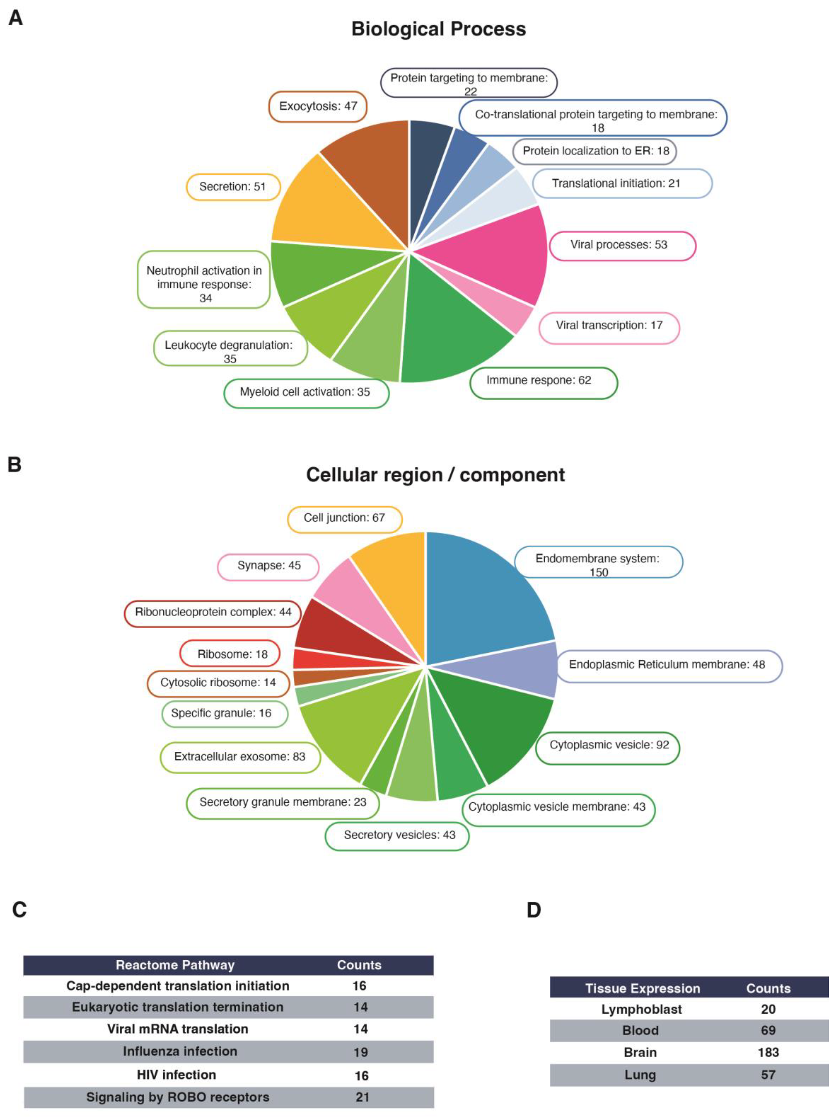 Ijms 24 12793 g003 Ijms 24 12793 g003