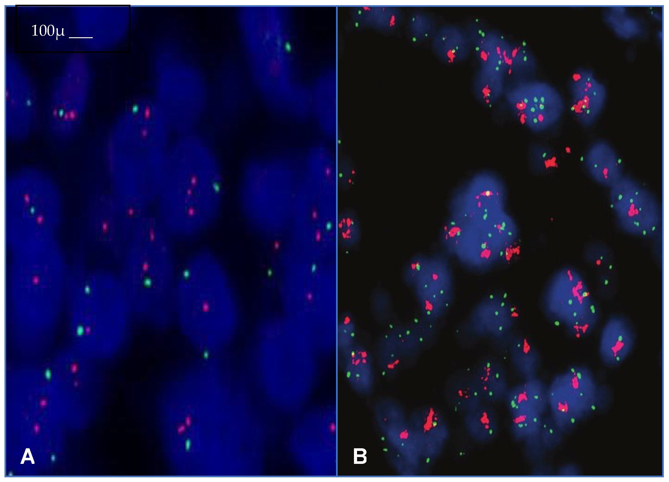 https://www.mdpi.com/ijms/ijms-24-12795/article_deploy/html/images/ijms-24-12795-g001.png