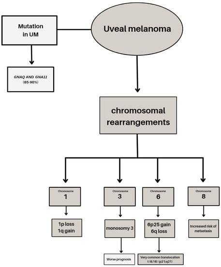 IJMS | Free Full-Text | Genetic and Epigenetic Features of Uveal  Melanoma&mdash;An Overview and Clinical Implications