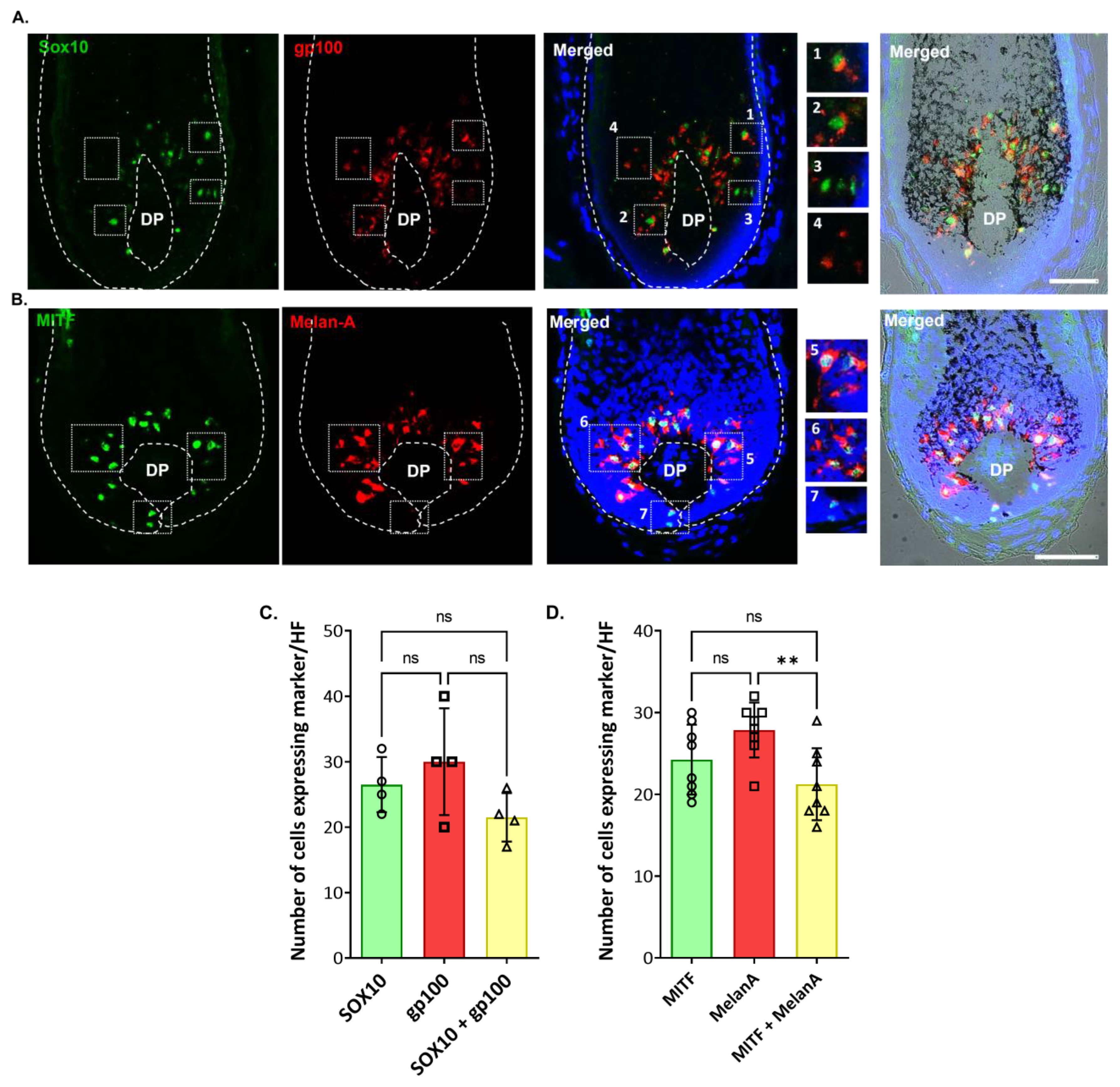 Ijms 24 12809 g006 Ijms 24 12809 g006