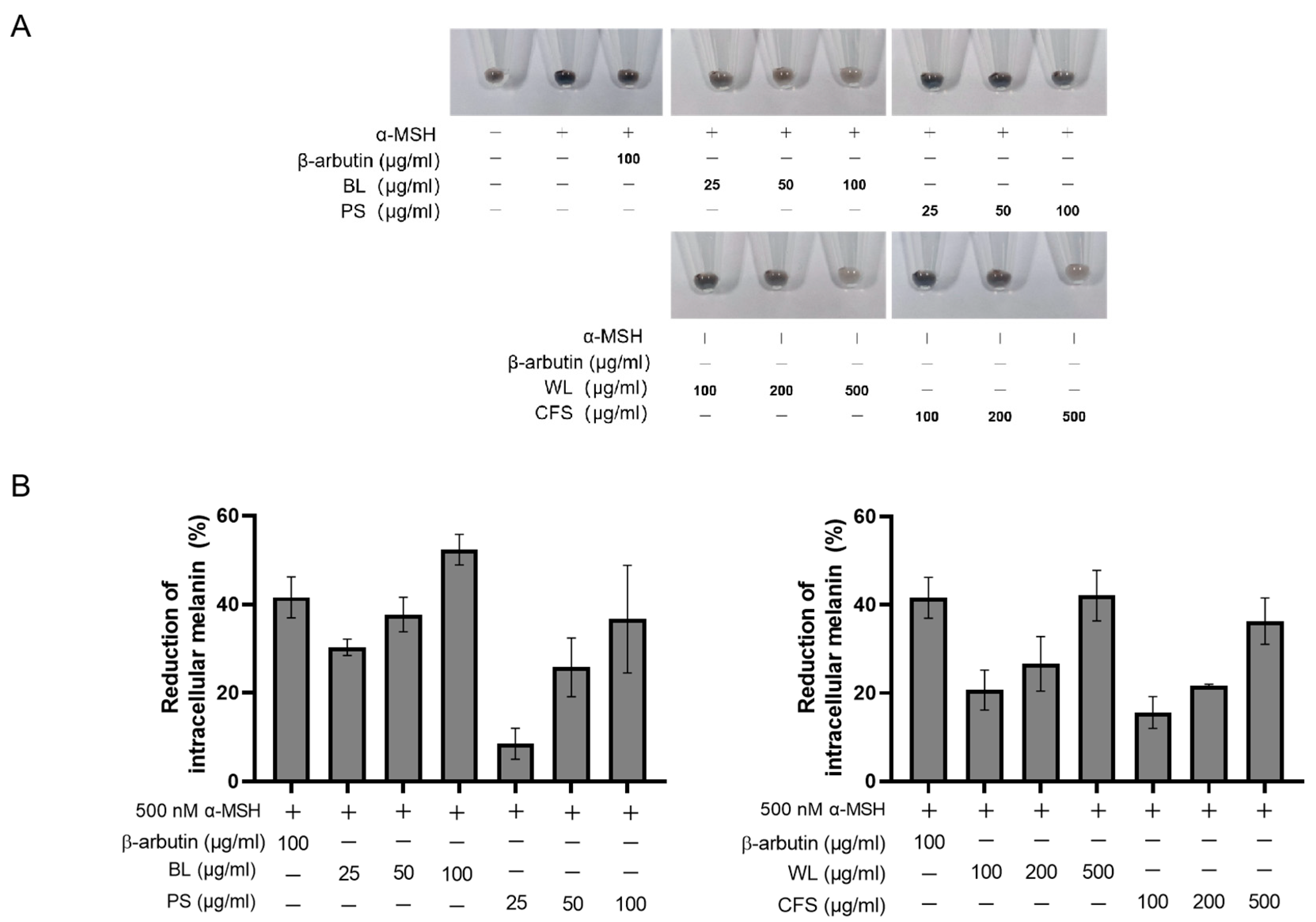 Ijms 24 12810 g001 Ijms 24 12810 g001