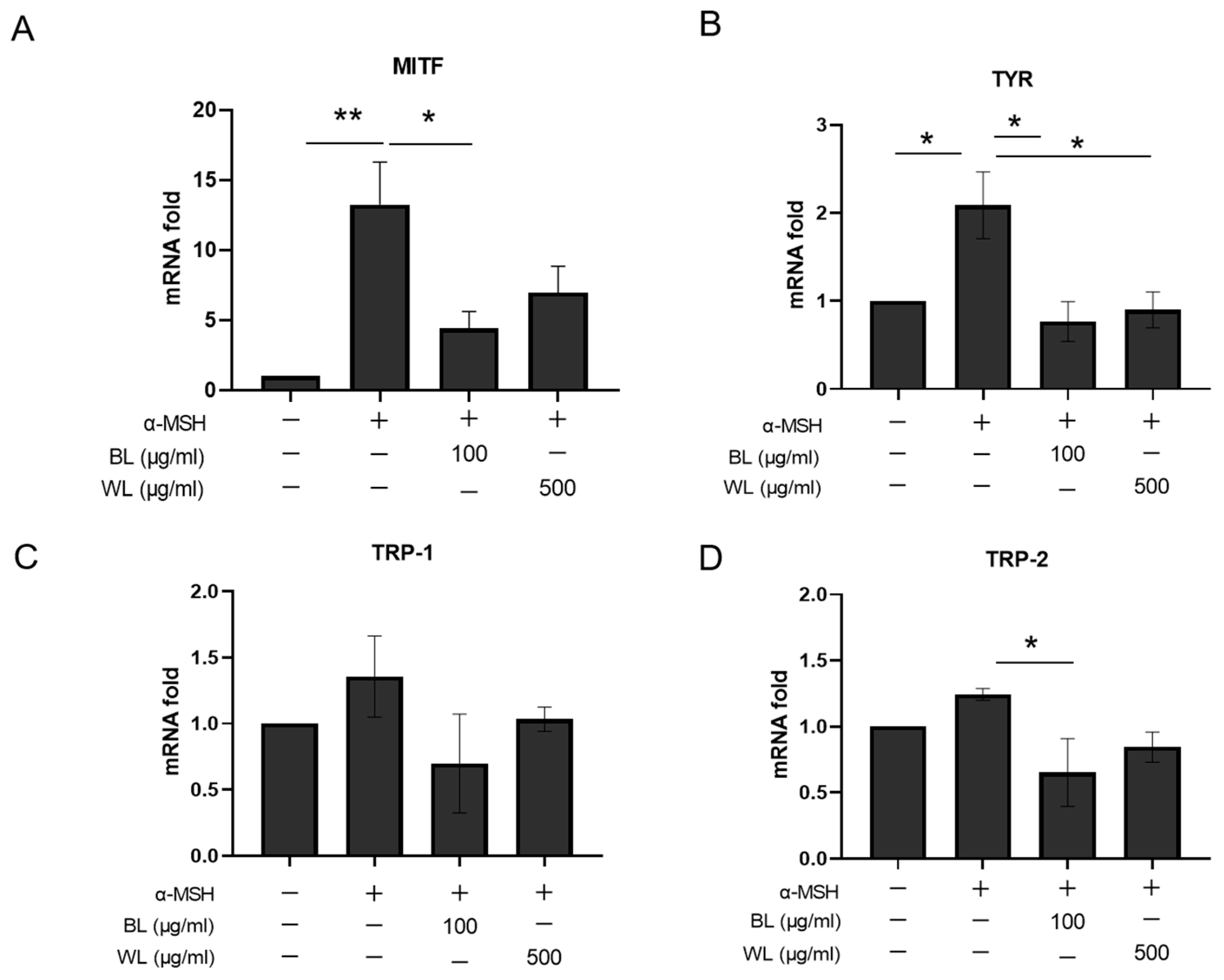 Ijms 24 12810 g004 Ijms 24 12810 g004