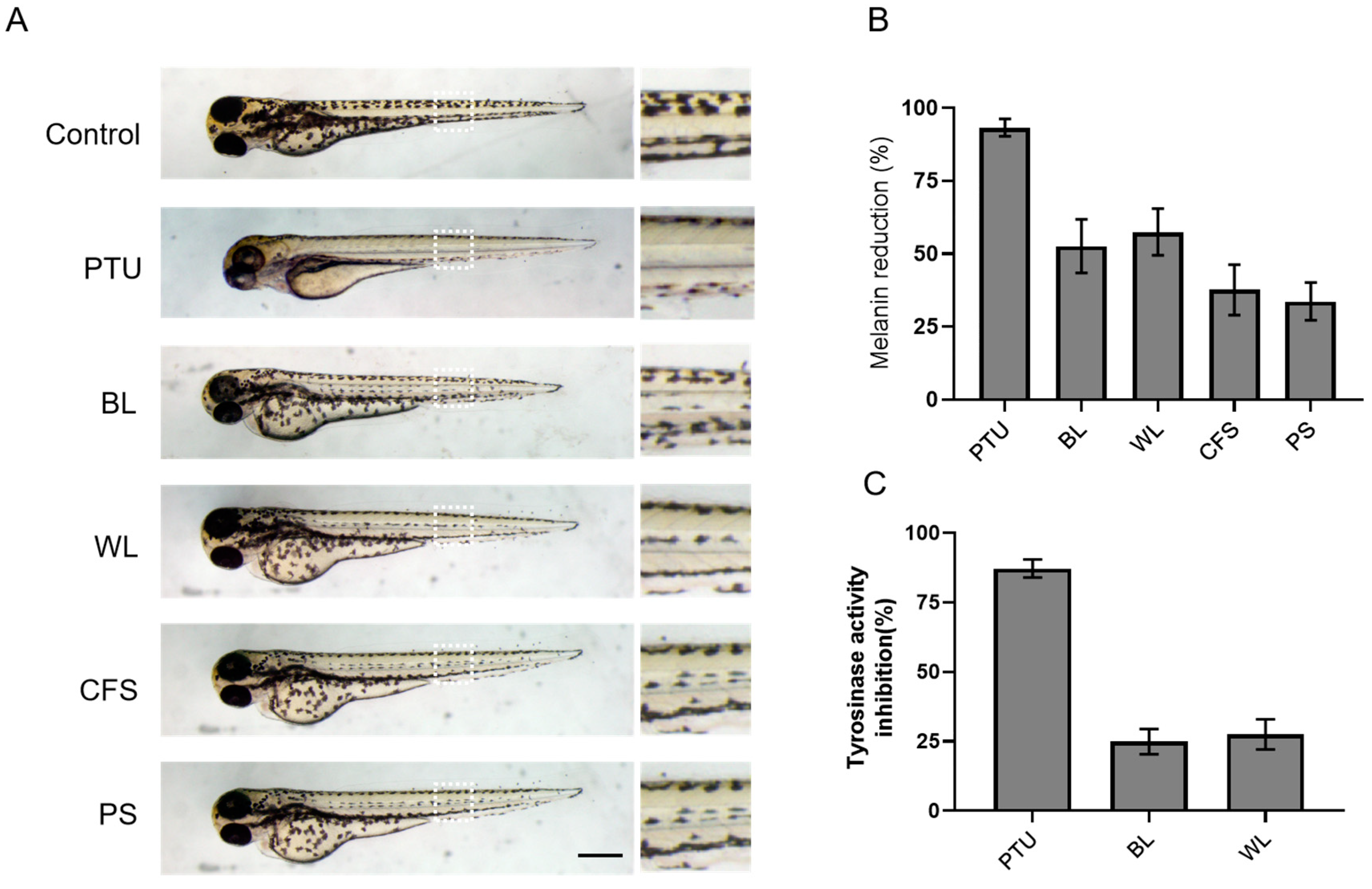 Ijms 24 12810 g005 Ijms 24 12810 g005