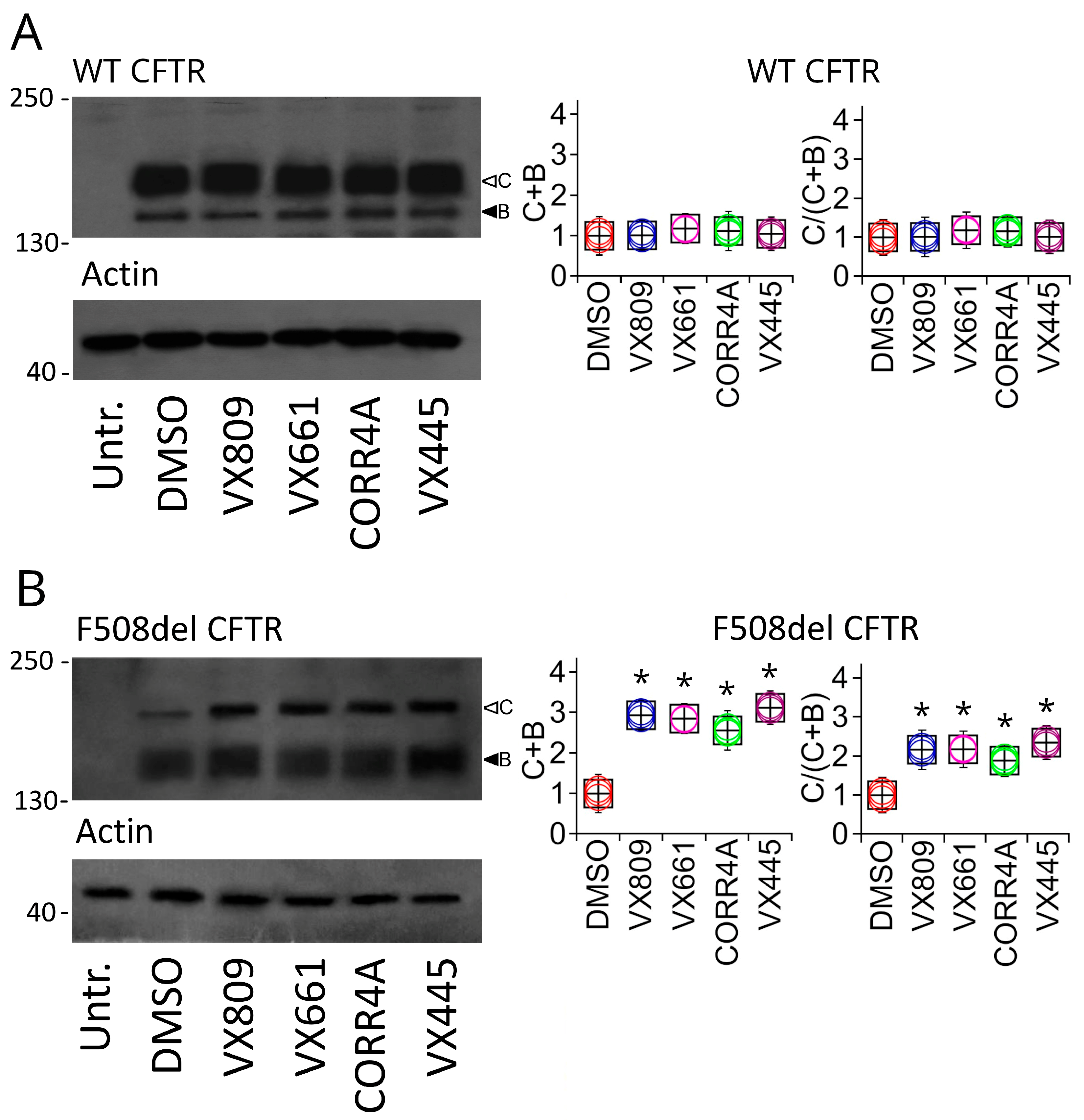 IJMS | Free Full-Text | Elexacaftor Mediates the Rescue of F508del