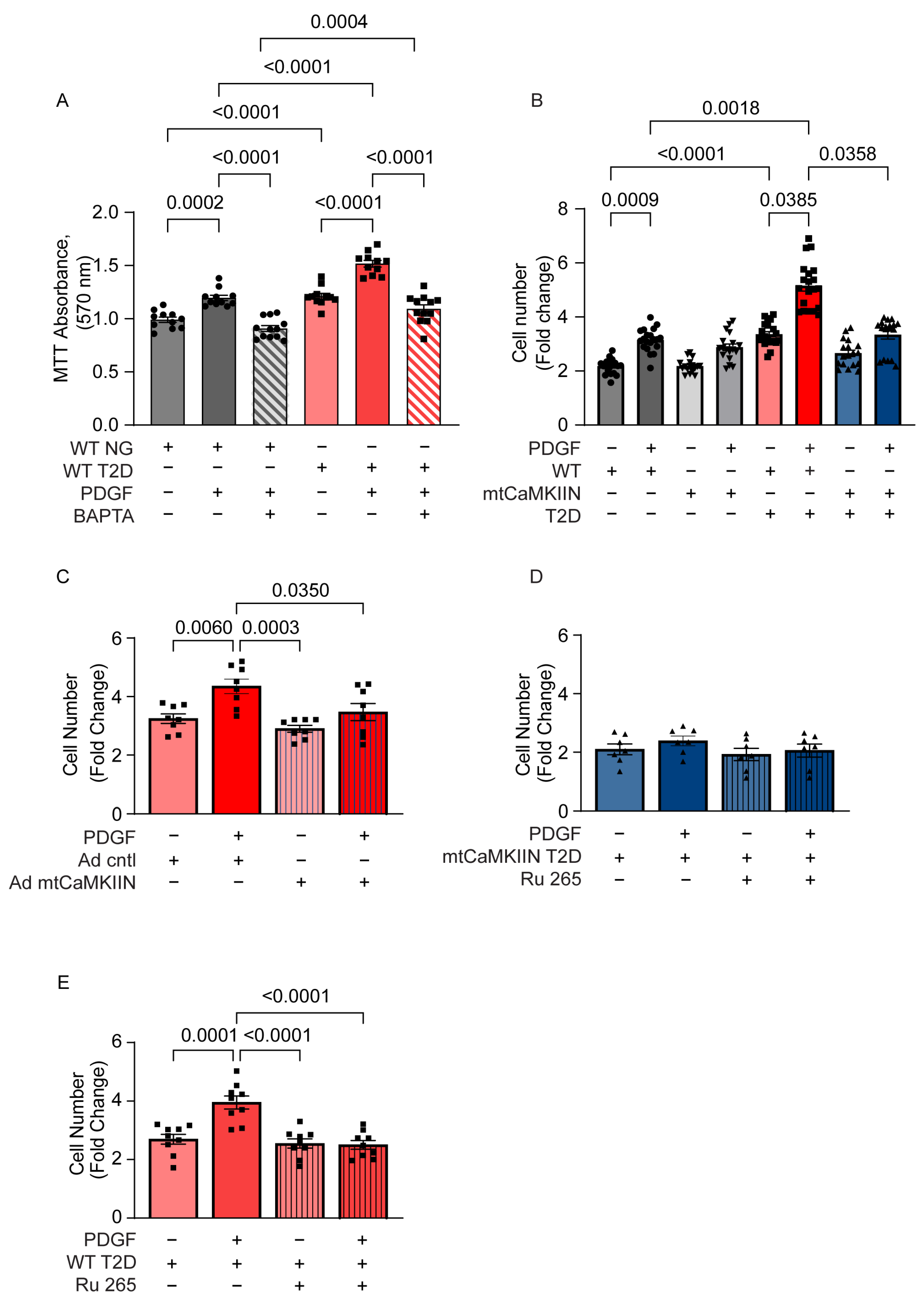 Ijms 24 12897 g001 Ijms 24 12897 g001