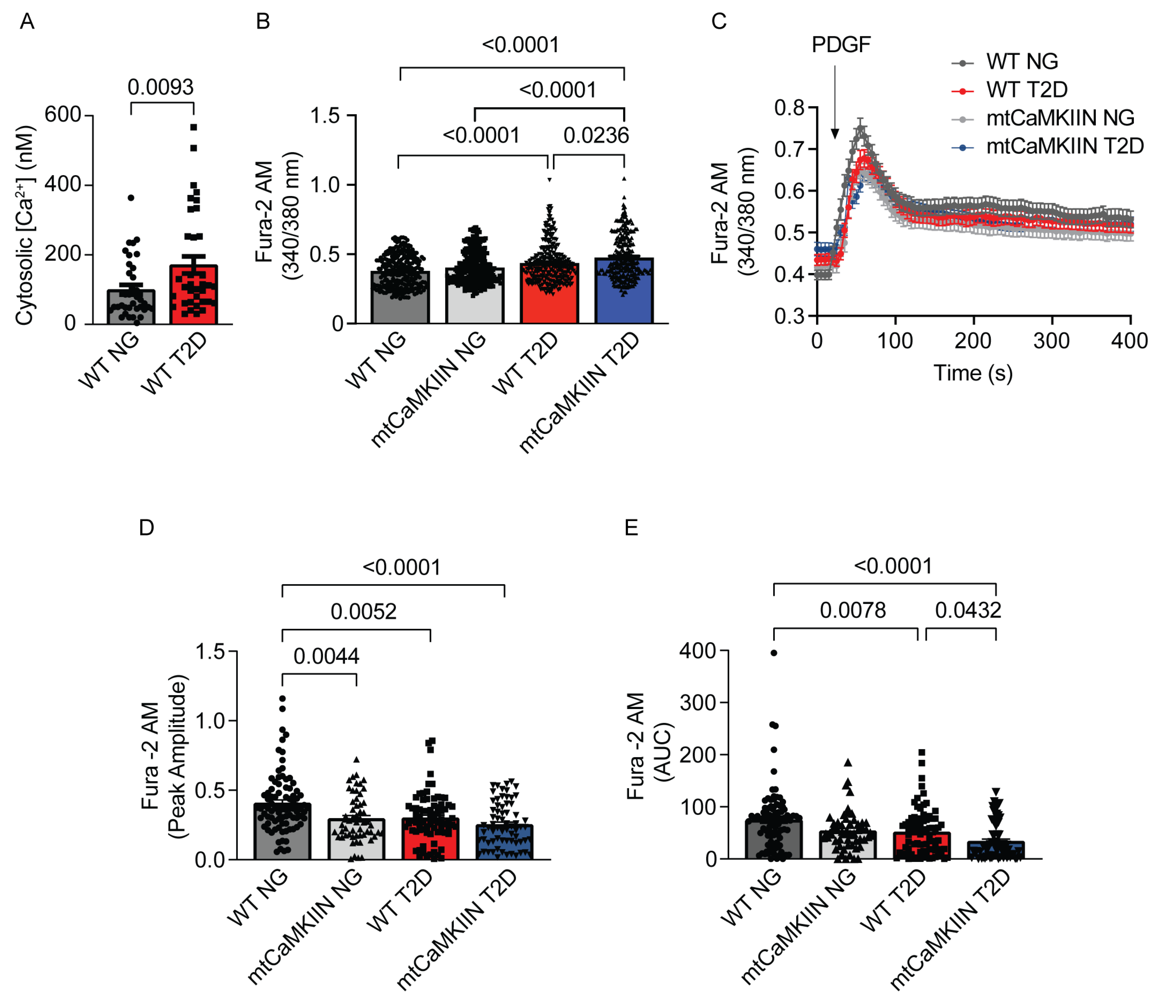 Ijms 24 12897 g002 Ijms 24 12897 g002