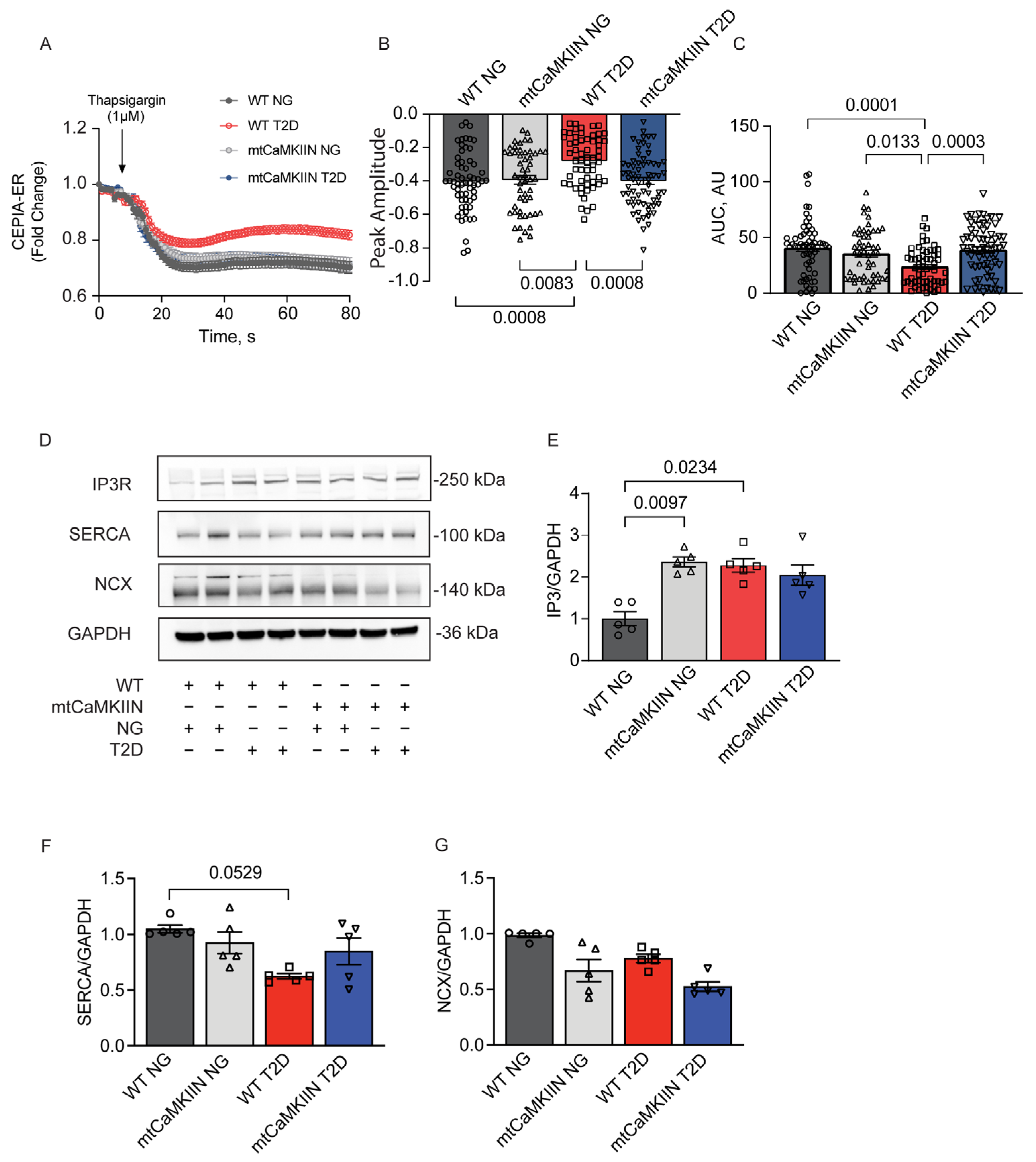 Ijms 24 12897 g003 Ijms 24 12897 g003