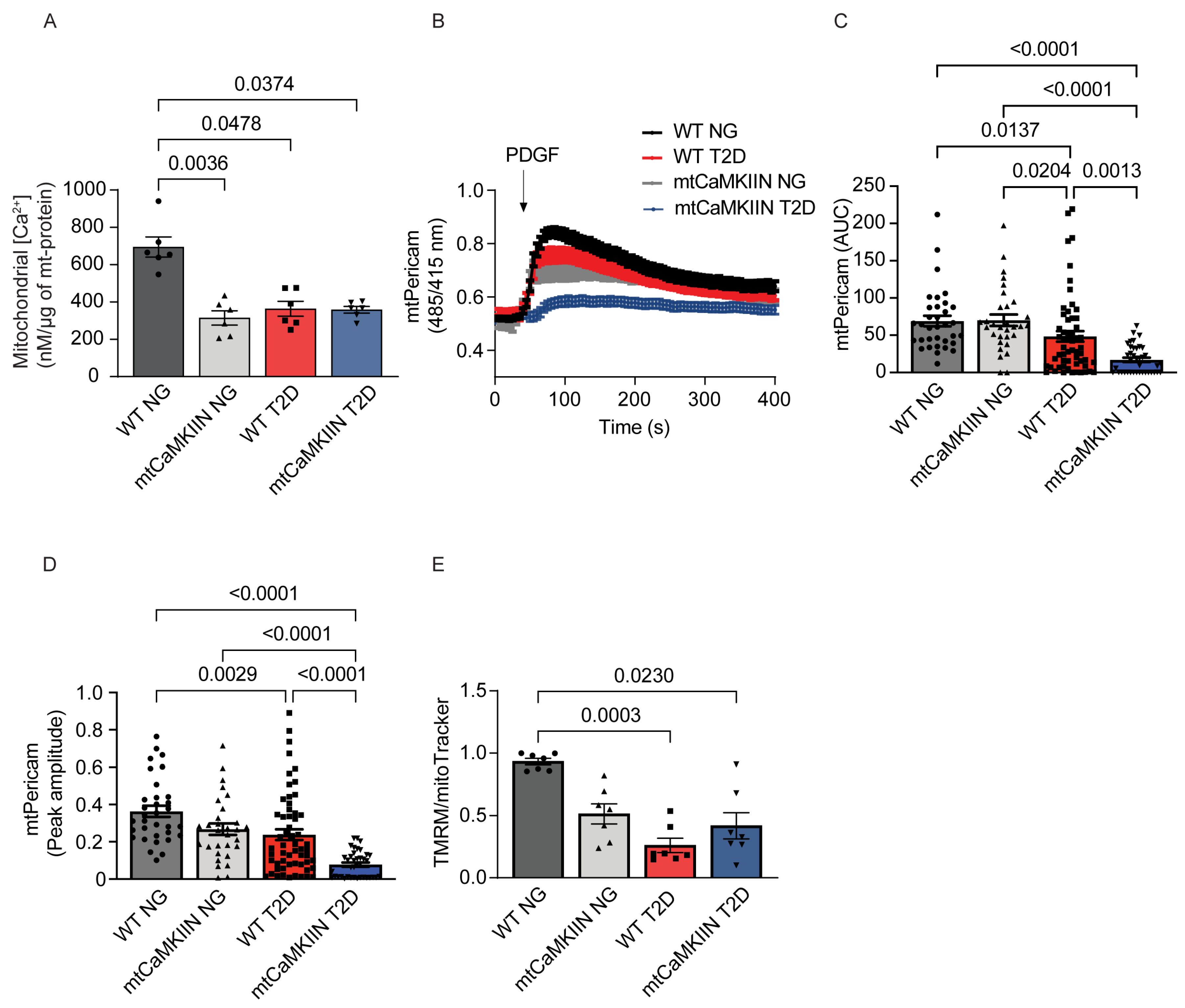 Ijms 24 12897 g004 Ijms 24 12897 g004