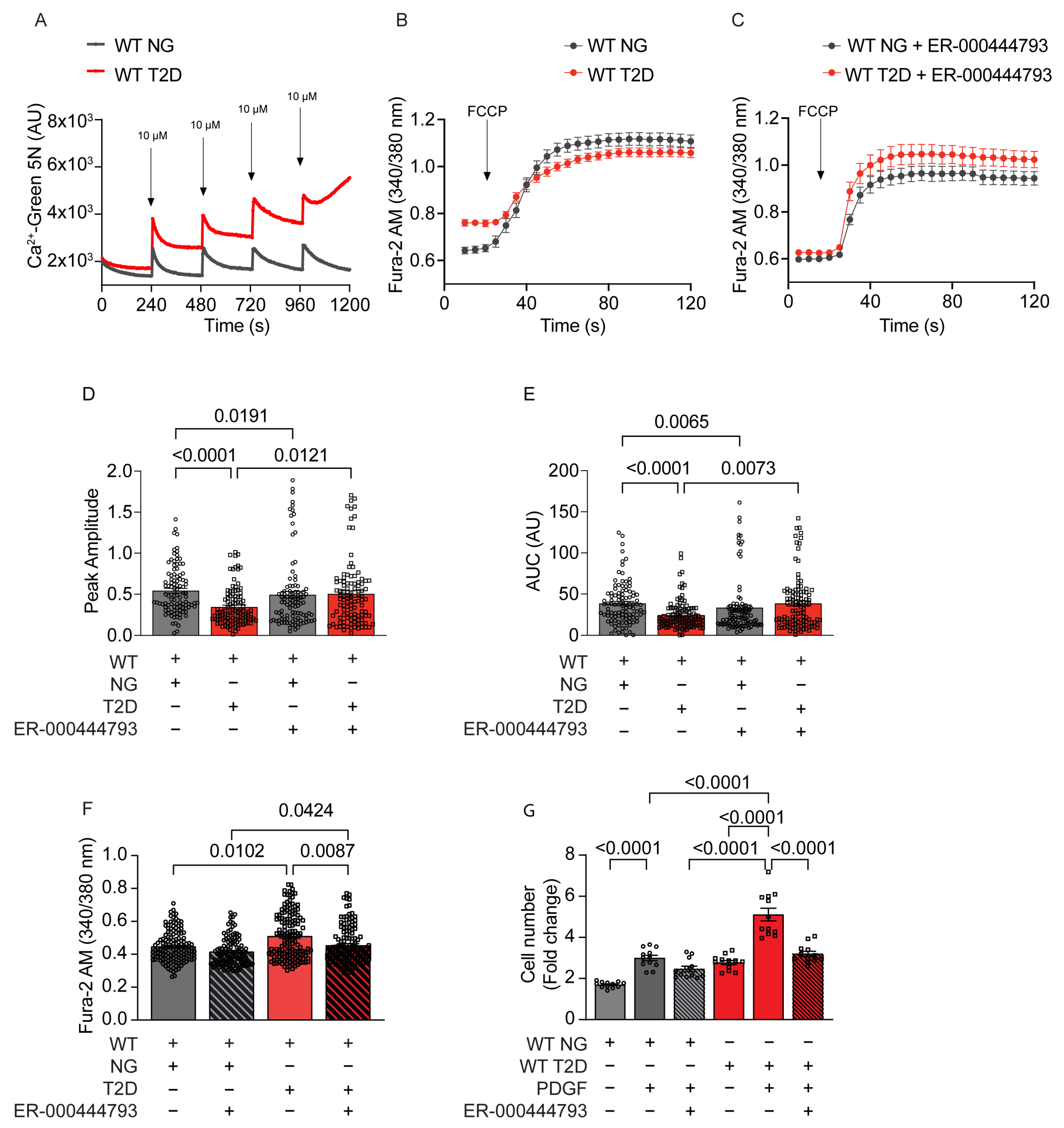 Ijms 24 12897 g007 Ijms 24 12897 g007