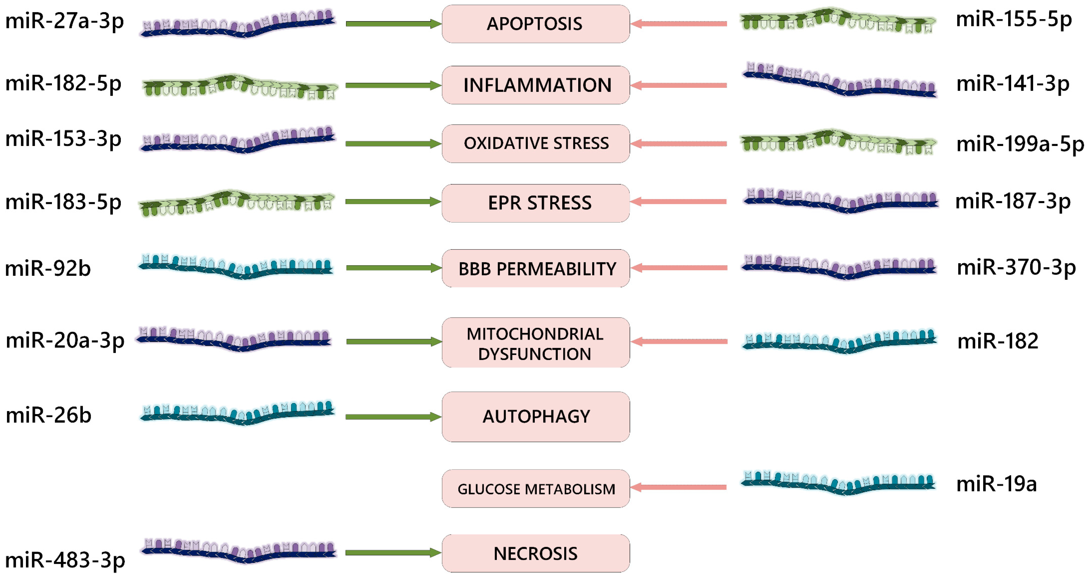 IJMS | Free Full-Text | The Role of microRNAs in Epigenetic 
