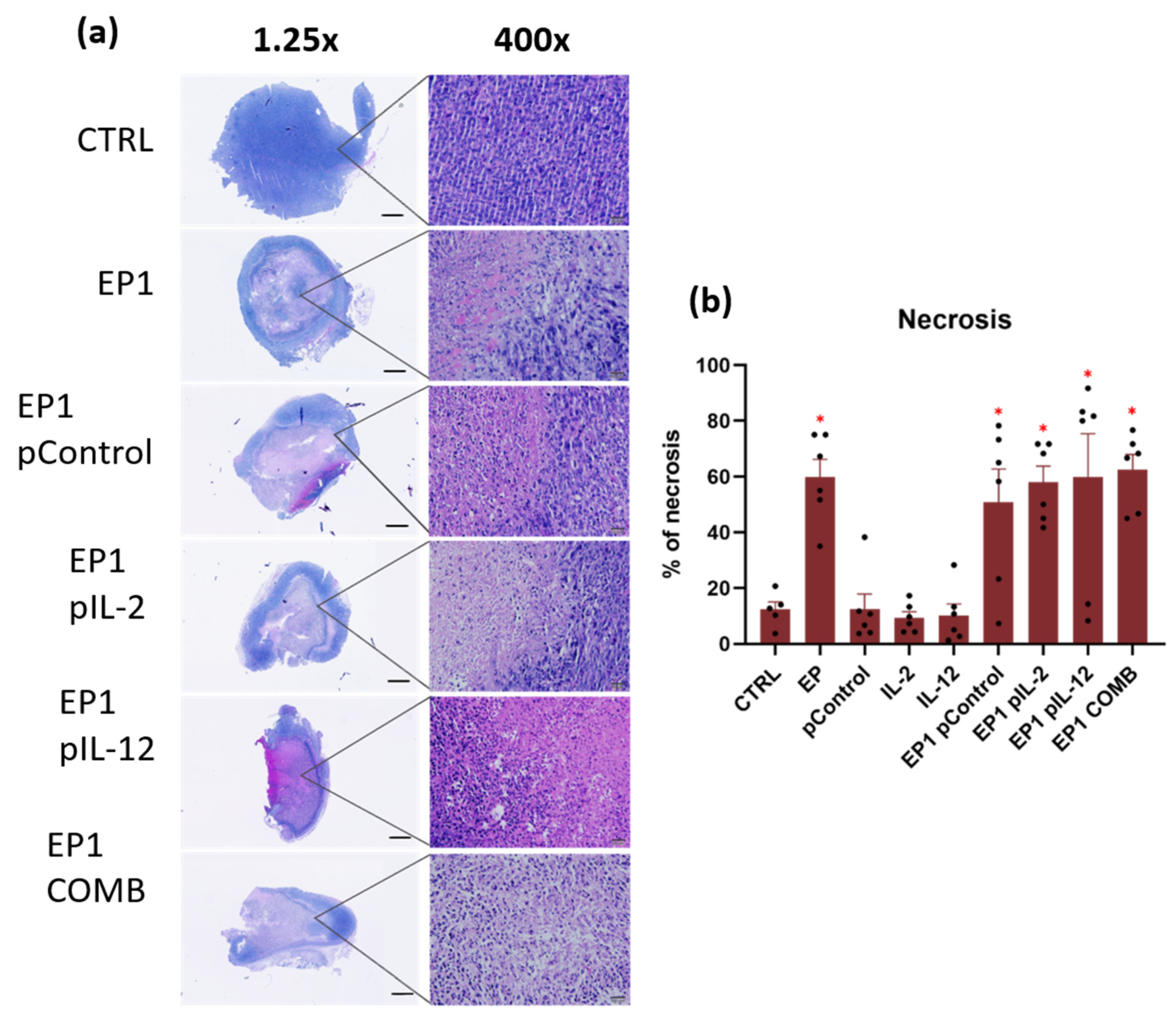 Ijms 24 12900 g011 Ijms 24 12900 g011
