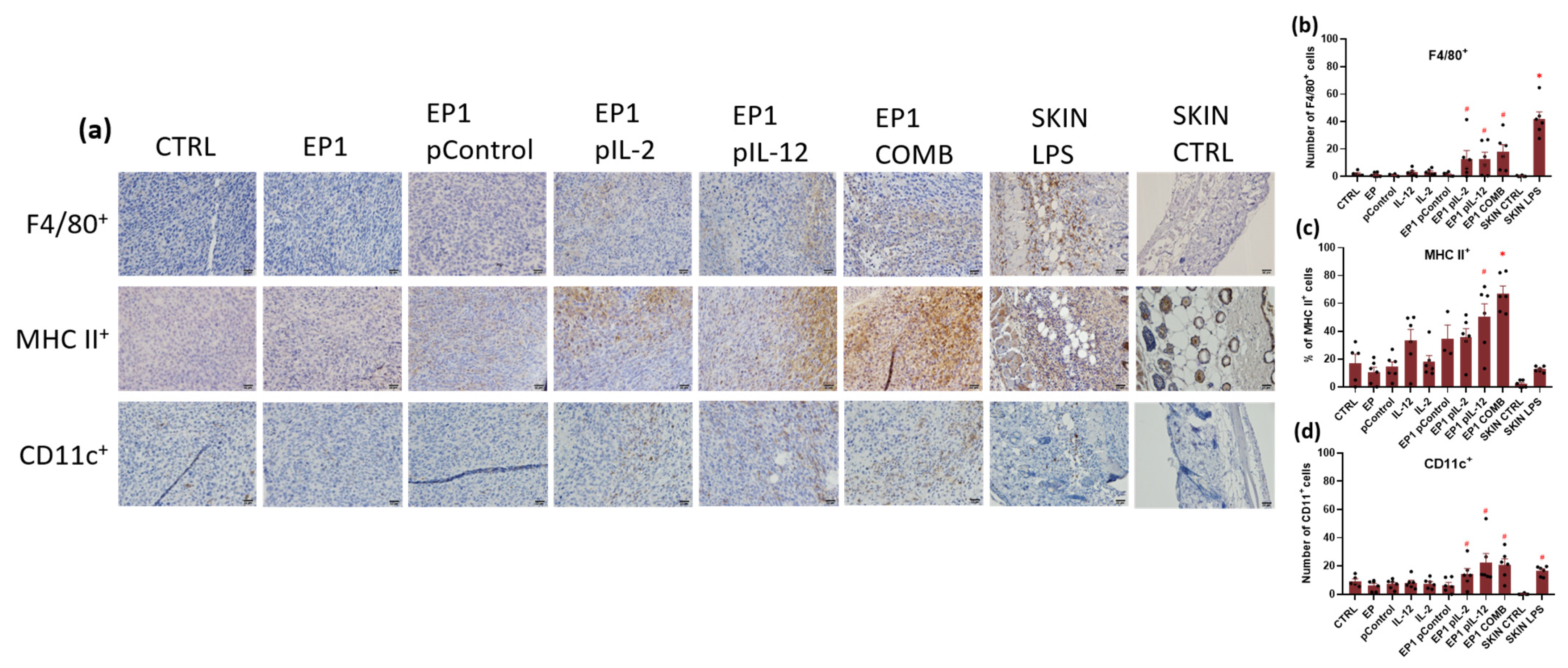 Ijms 24 12900 g012 Ijms 24 12900 g012