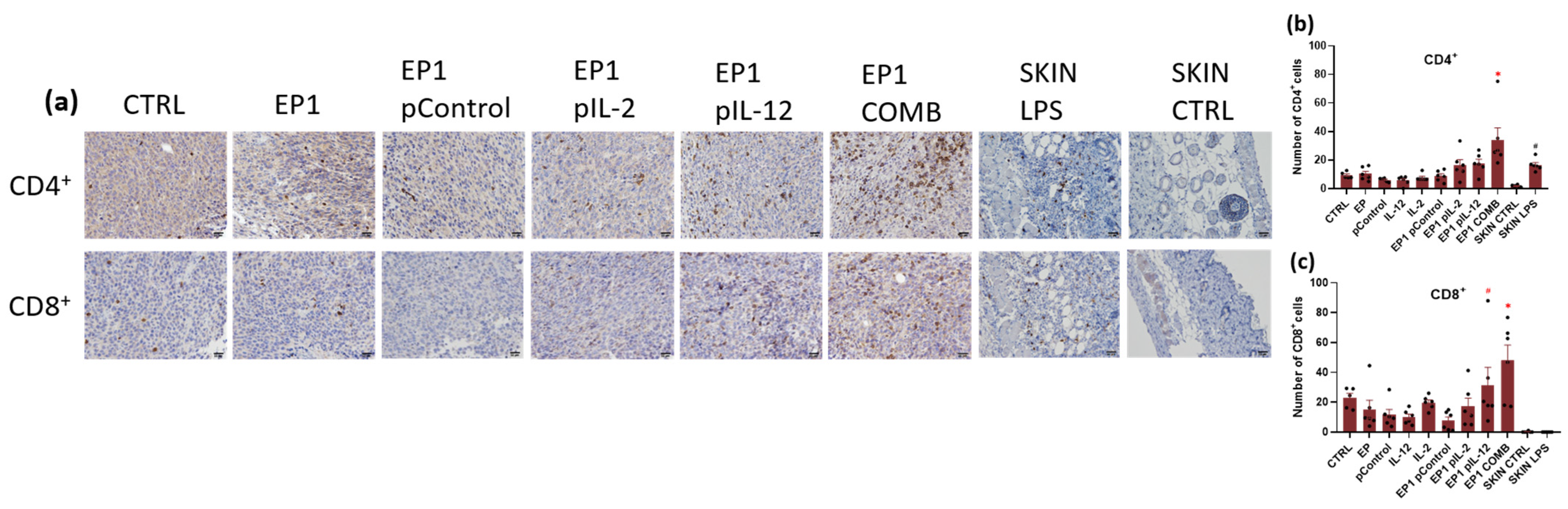 Ijms 24 12900 g013 Ijms 24 12900 g013