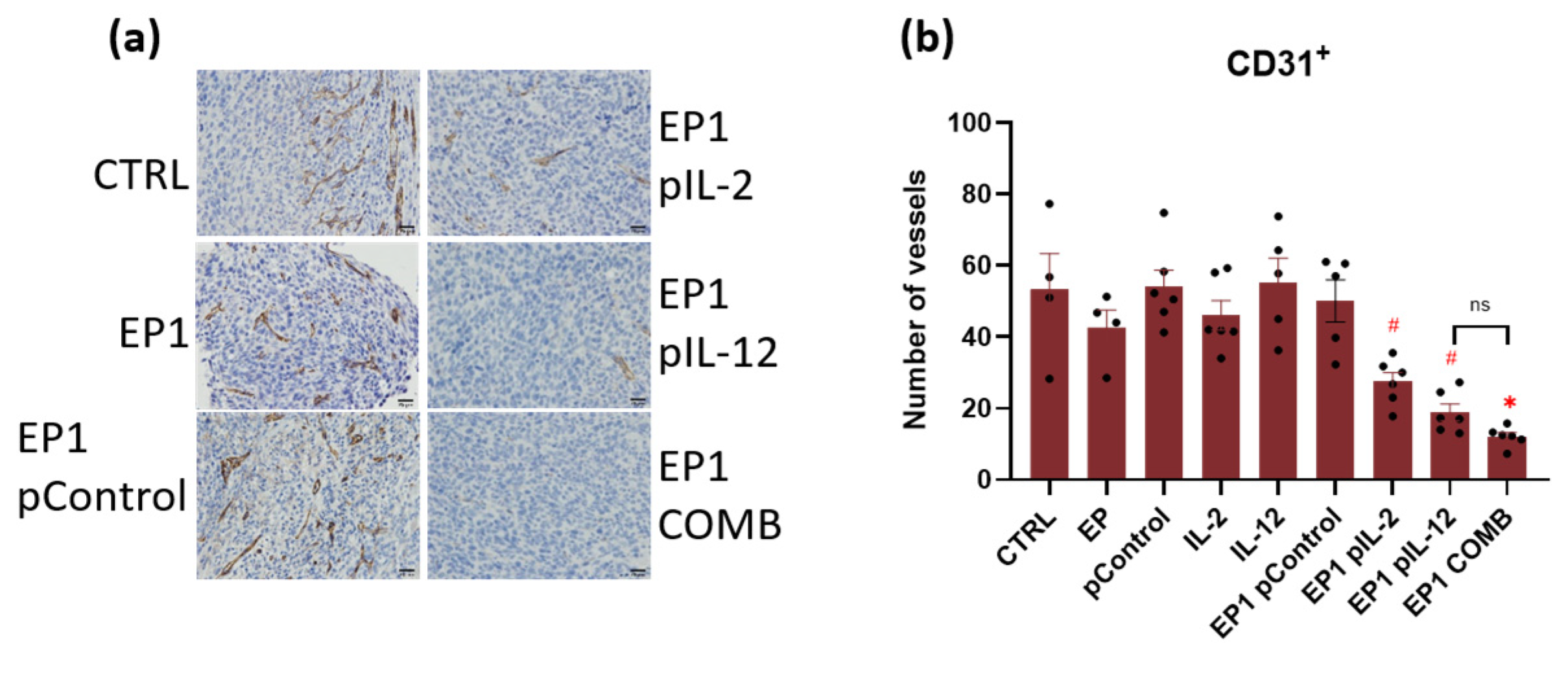 Ijms 24 12900 g014 Ijms 24 12900 g014
