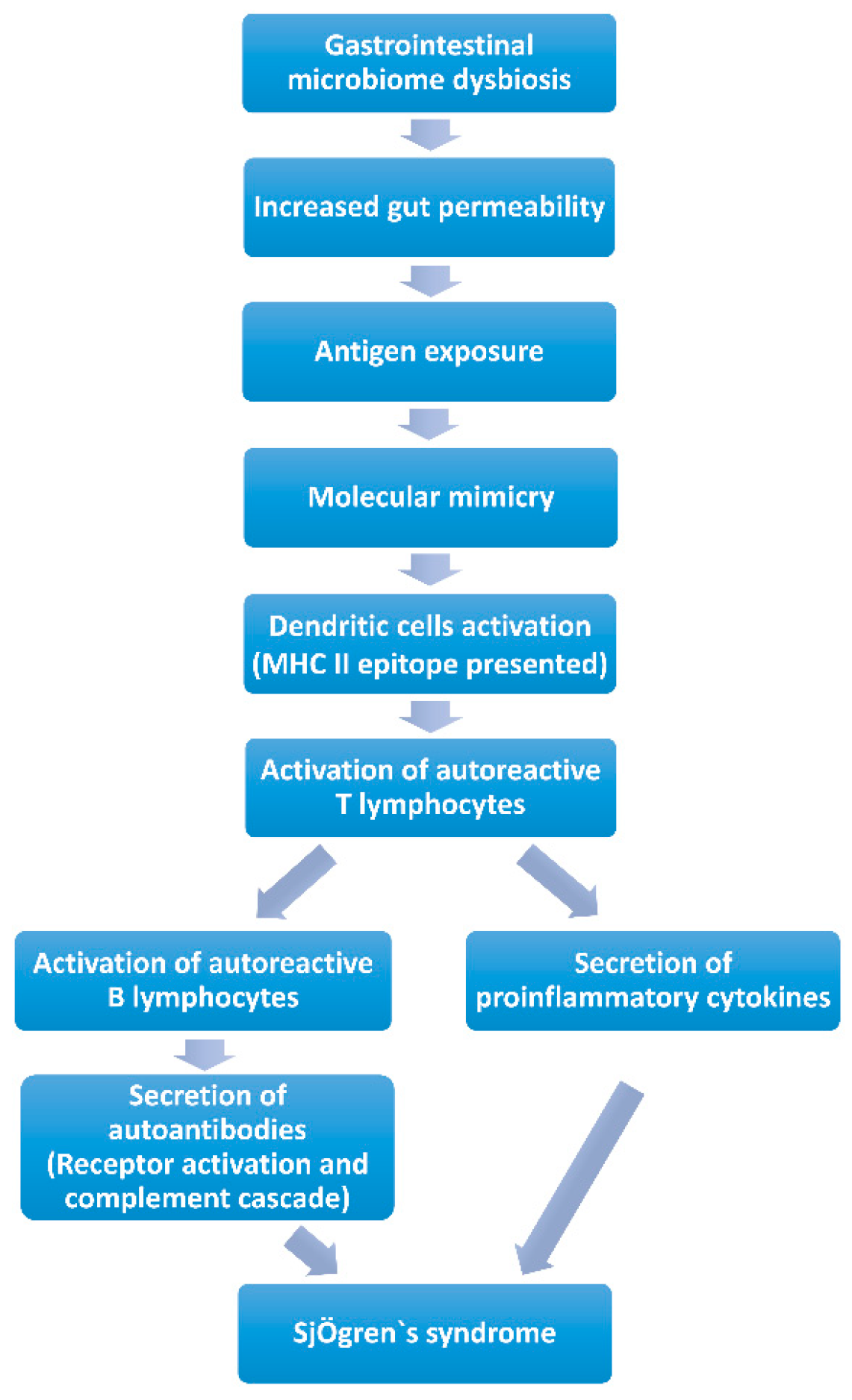 IJMS | Free Full-Text | Lessons from Animal Models in Sjögren’s Syndrome