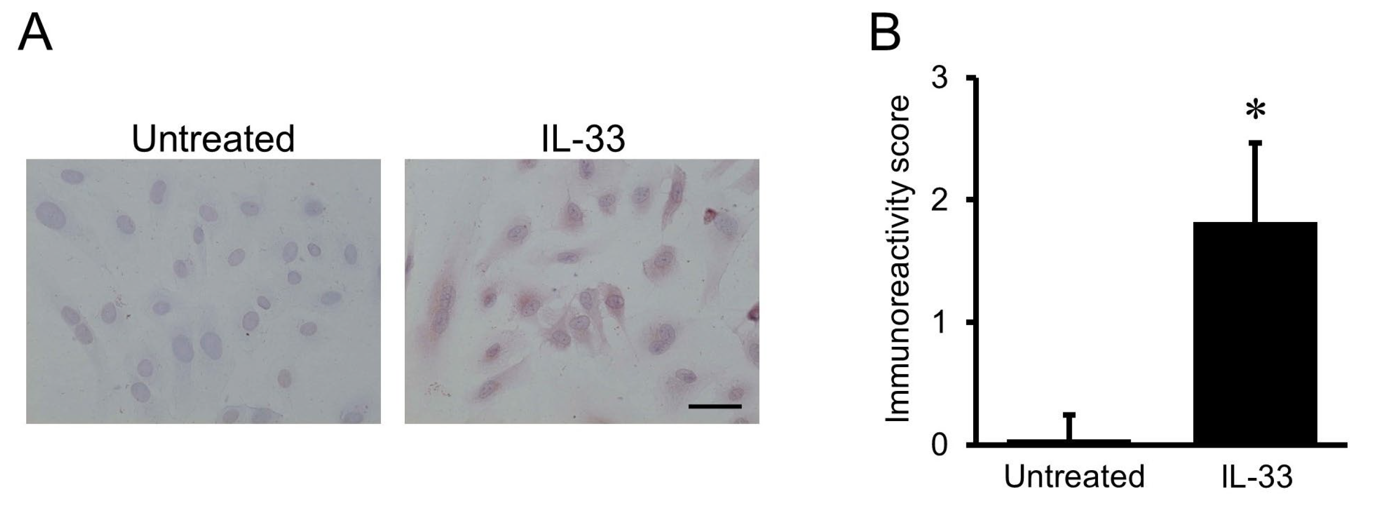 Ijms 24 13015 g001 Ijms 24 13015 g001