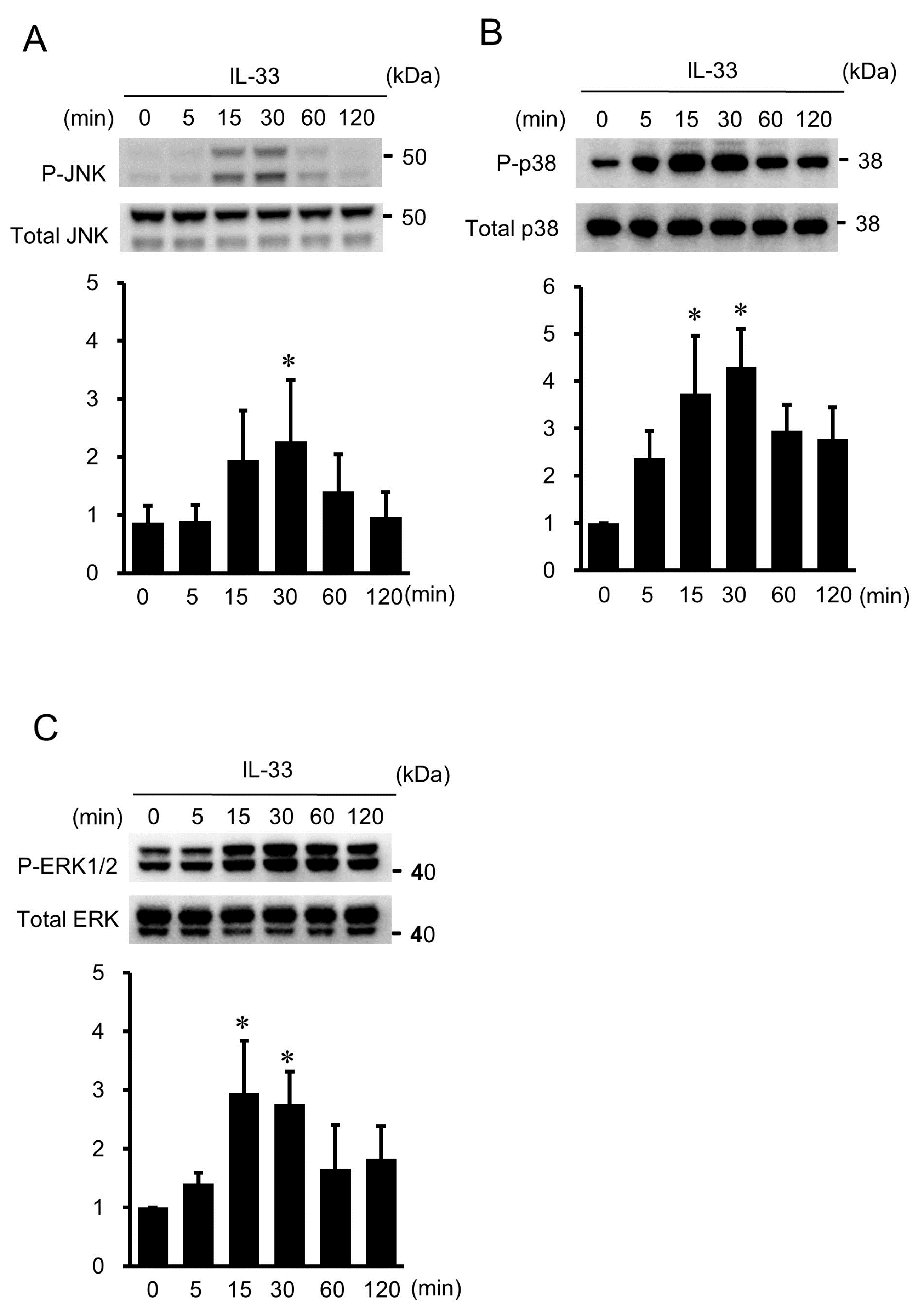 Ijms 24 13015 g004 Ijms 24 13015 g004