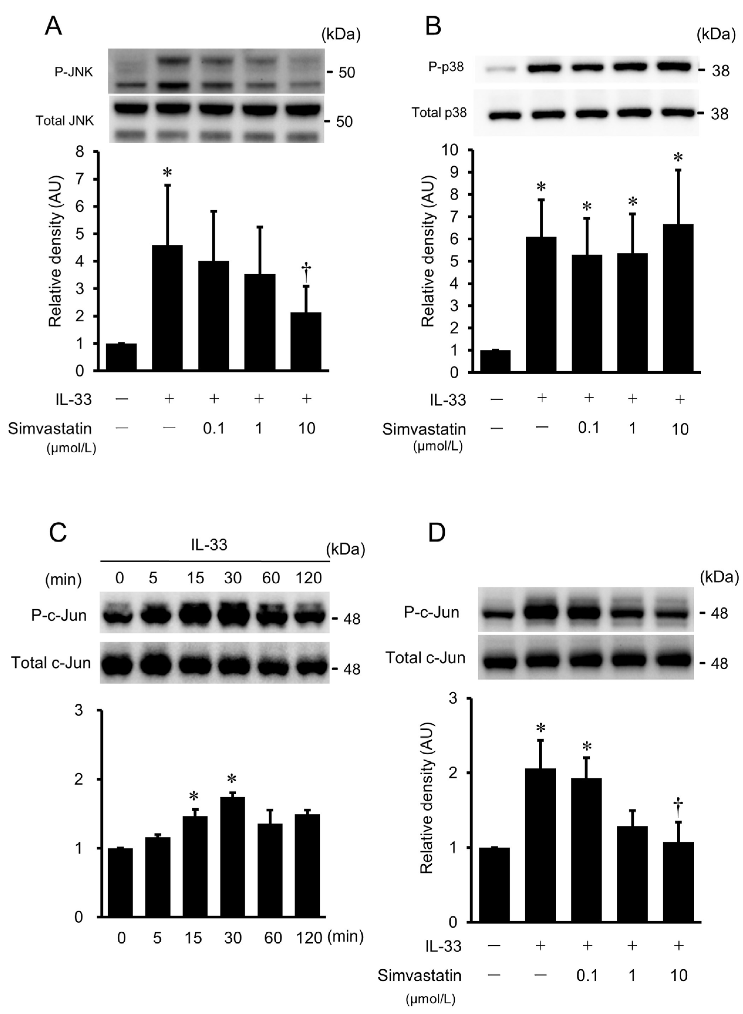 Ijms 24 13015 g008 Ijms 24 13015 g008