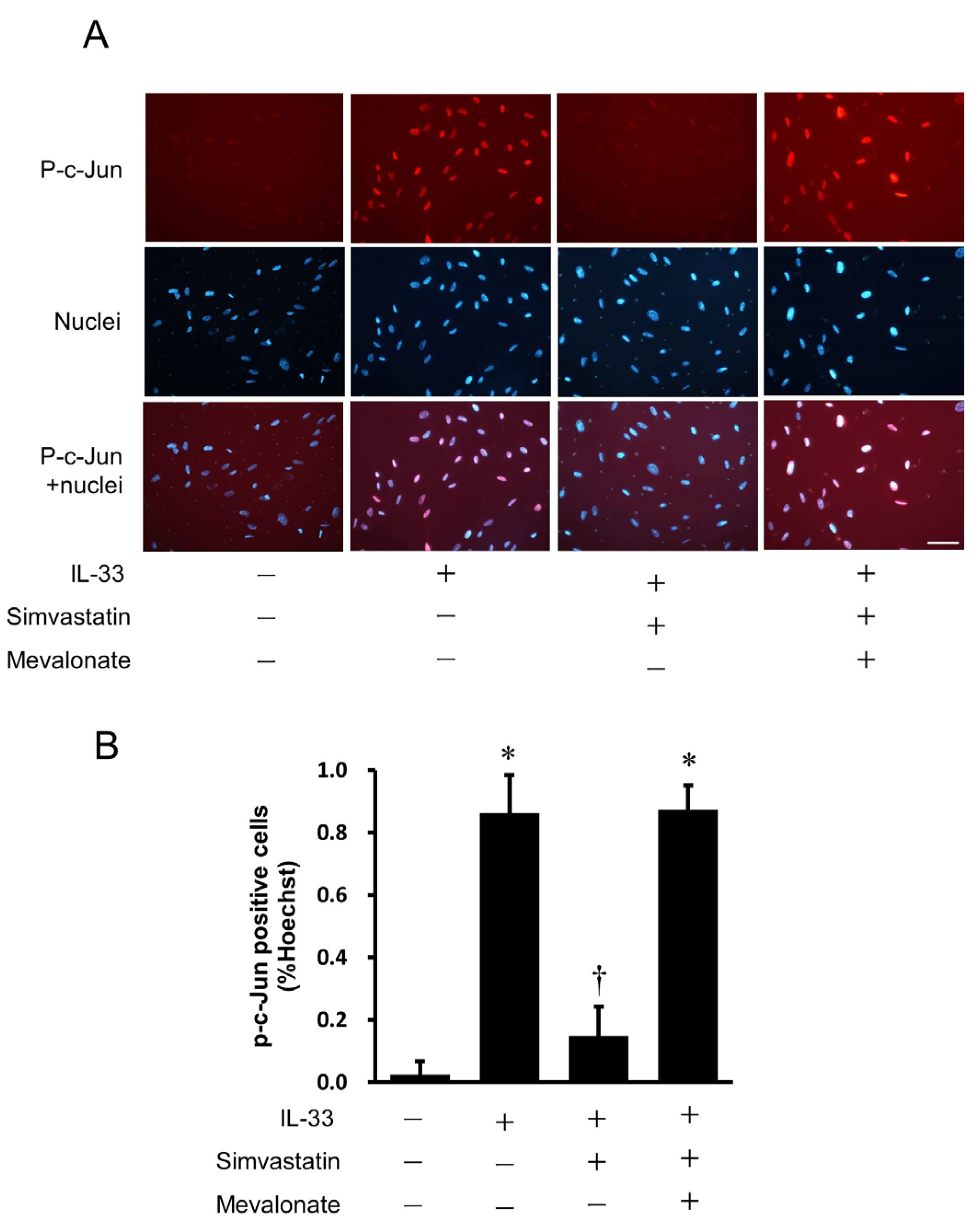 Ijms 24 13015 g009 Ijms 24 13015 g009