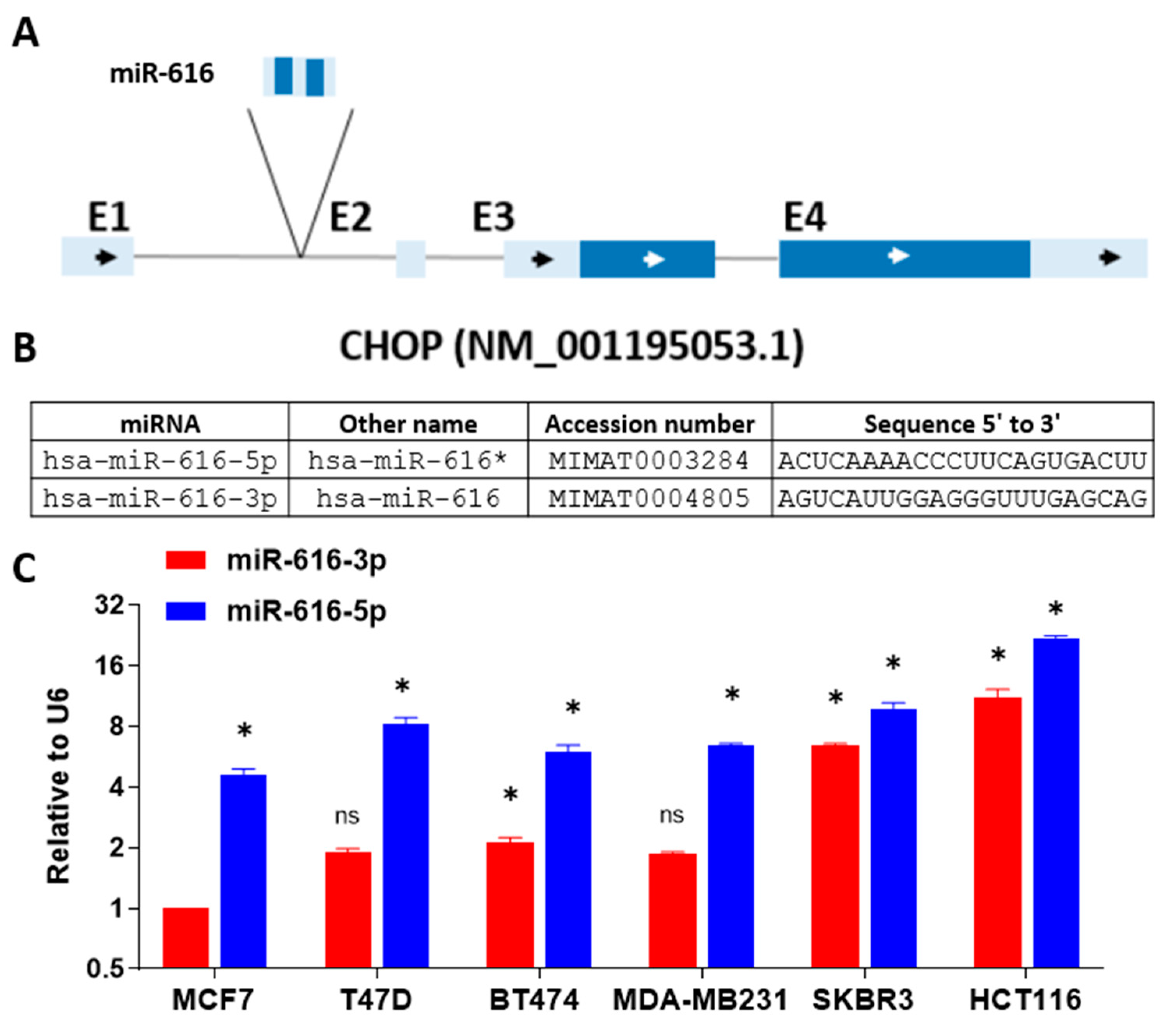 Ijms 24 13034 g002 Ijms 24 13034 g002