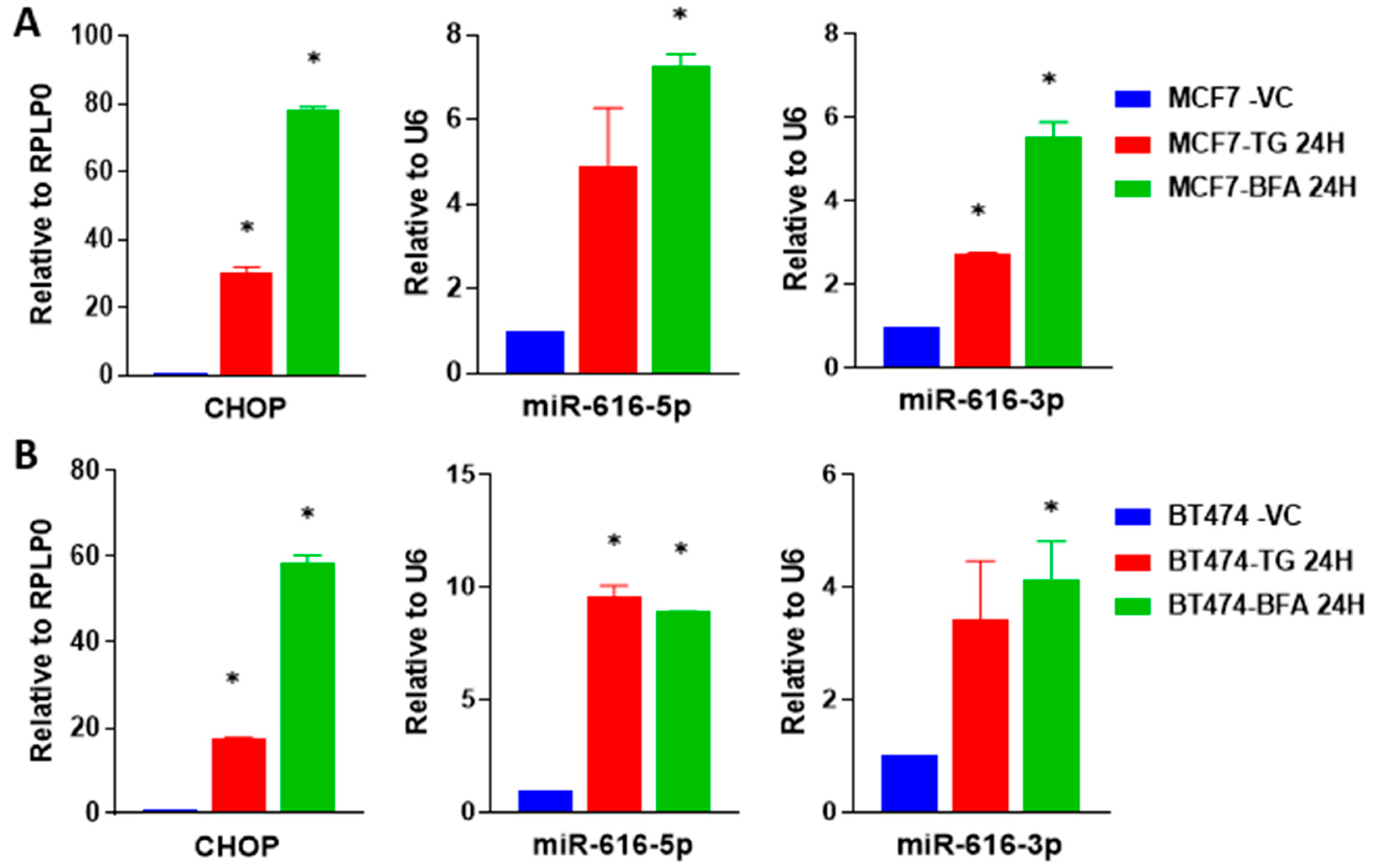 Ijms 24 13034 g003 Ijms 24 13034 g003