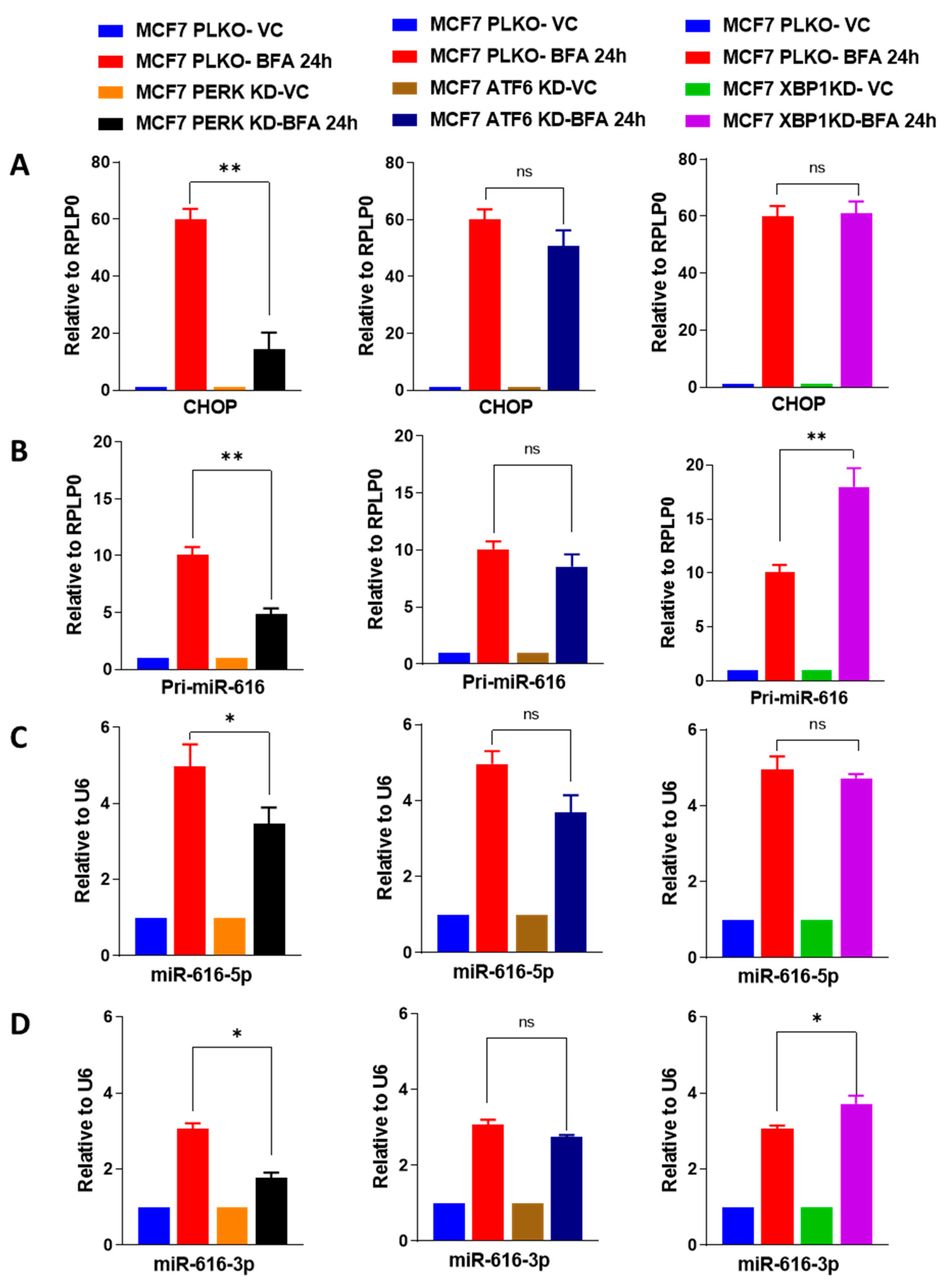 Ijms 24 13034 g004 Ijms 24 13034 g004