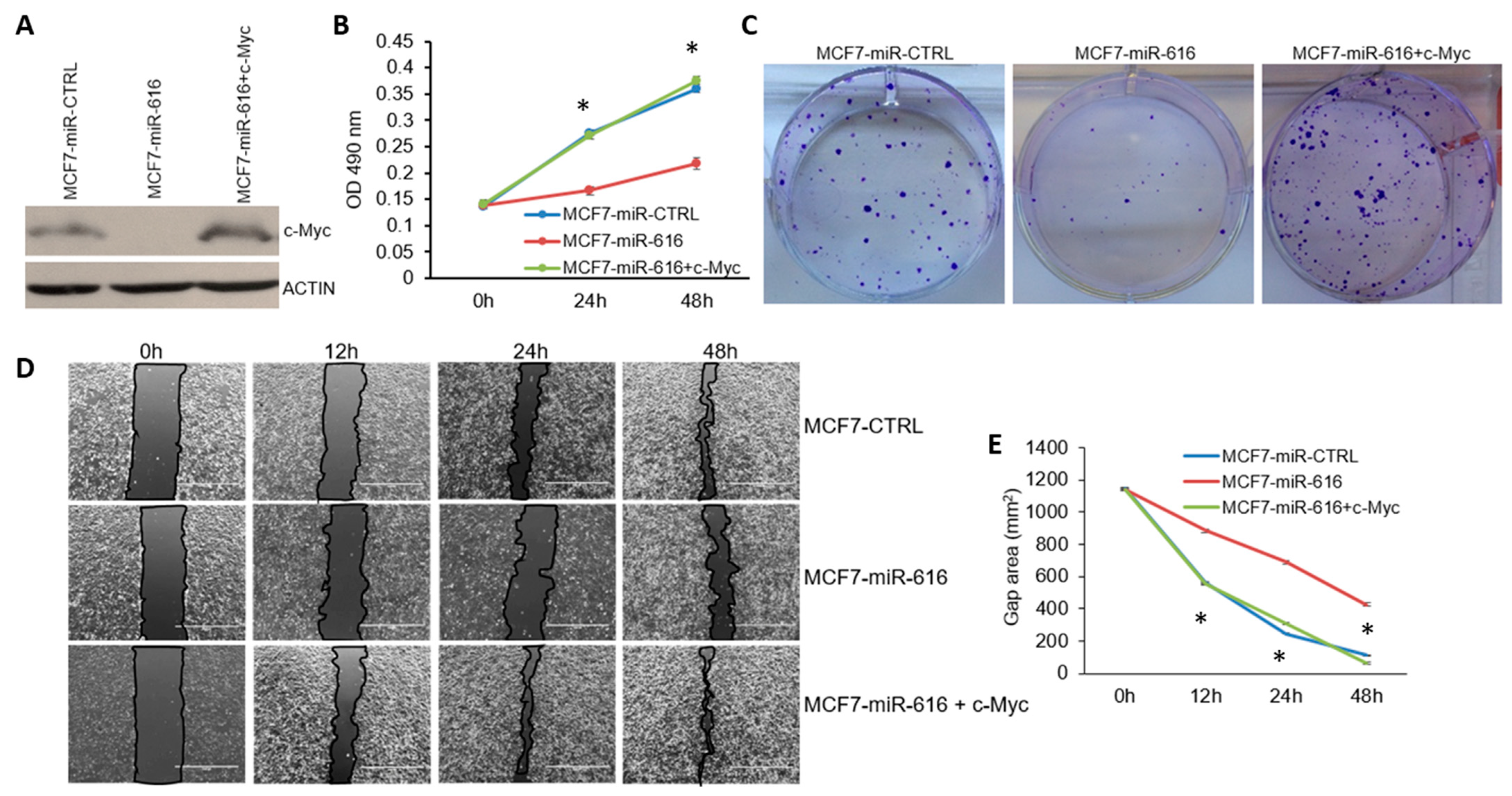 Ijms 24 13034 g009 Ijms 24 13034 g009
