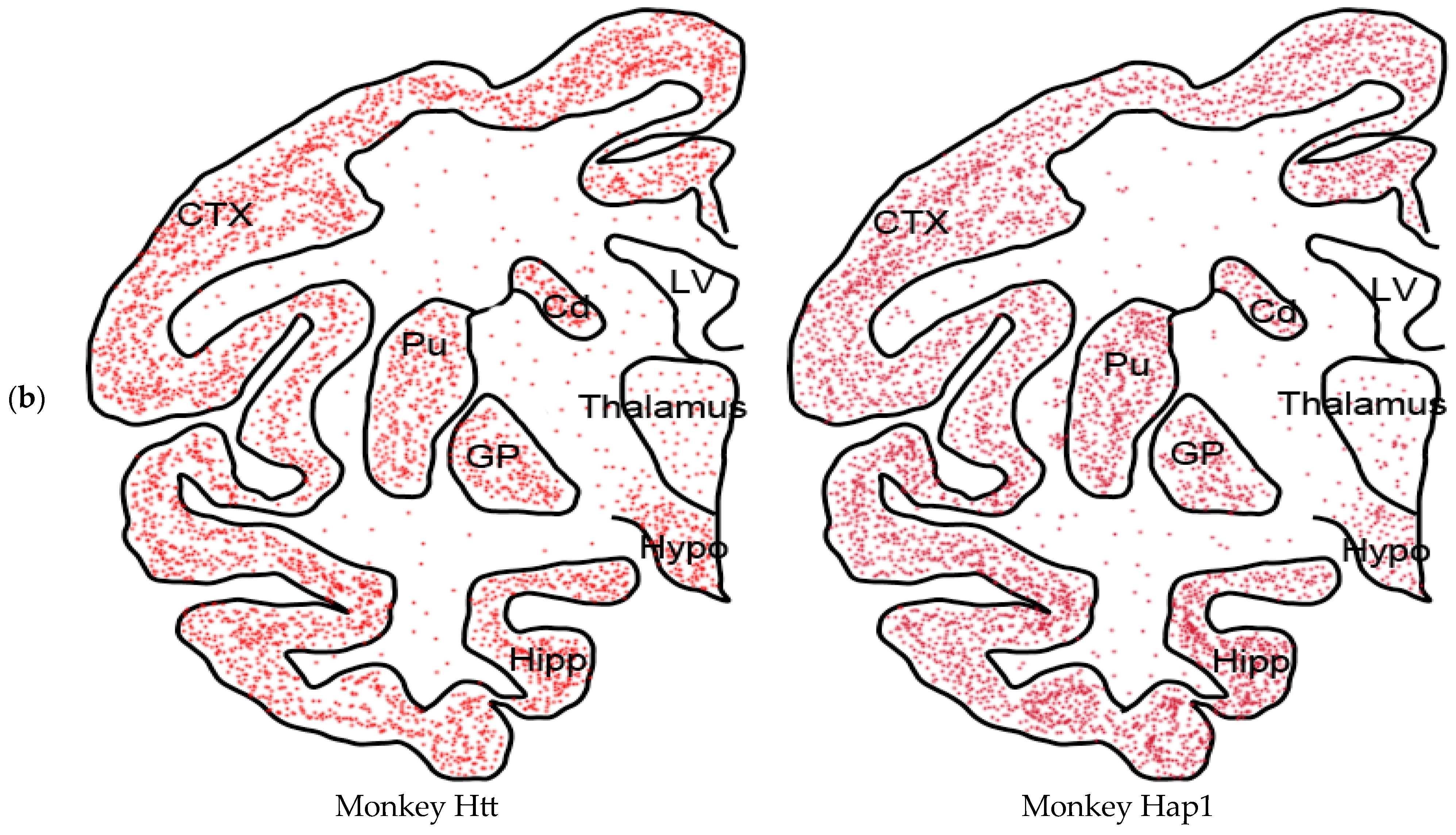 Ijms 24 13060 g002b Ijms 24 13060 g002b
