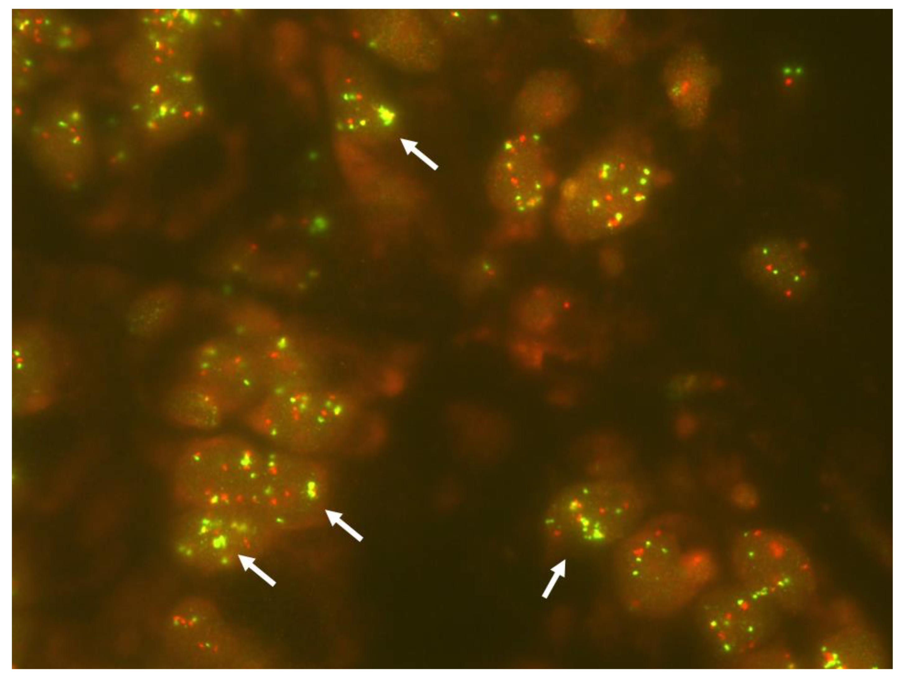 Ijms 24 13077 g007 Ijms 24 13077 g007