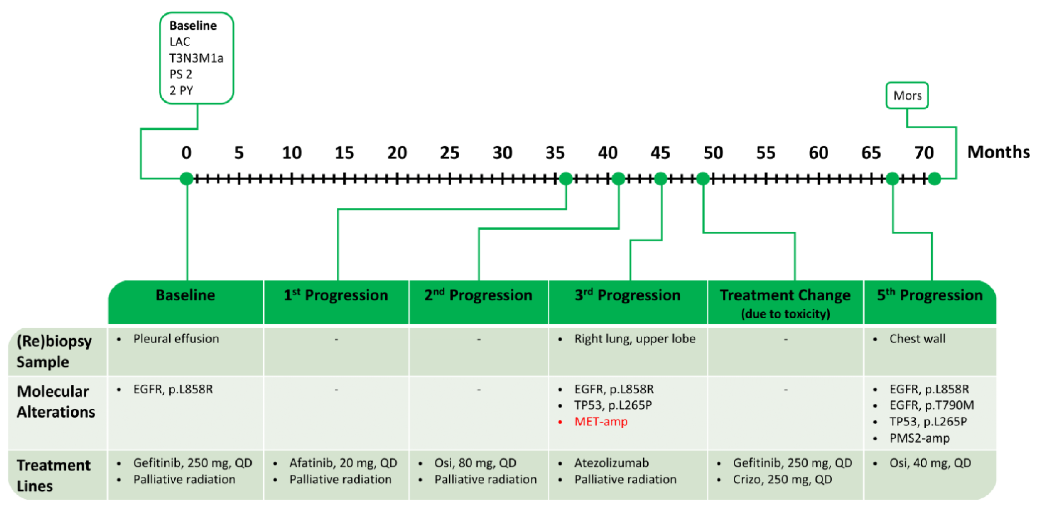 Ijms 24 13077 g008 Ijms 24 13077 g008