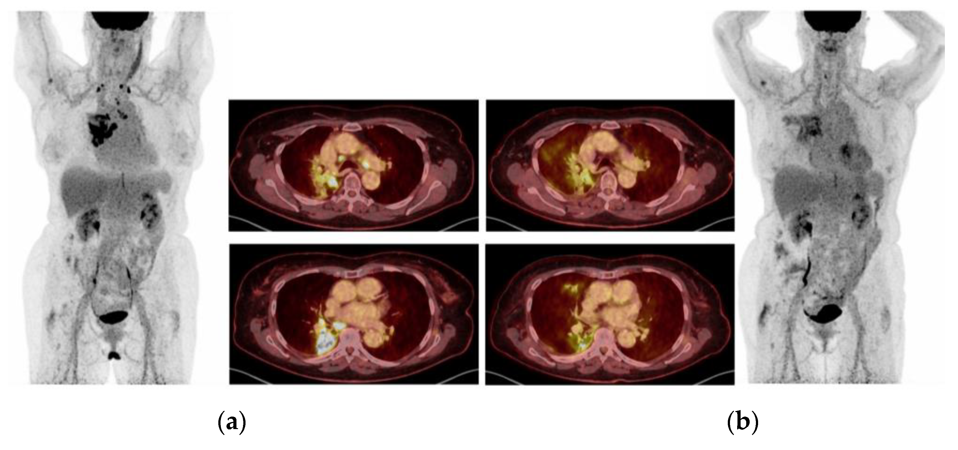 Ijms 24 13077 g009 Ijms 24 13077 g009