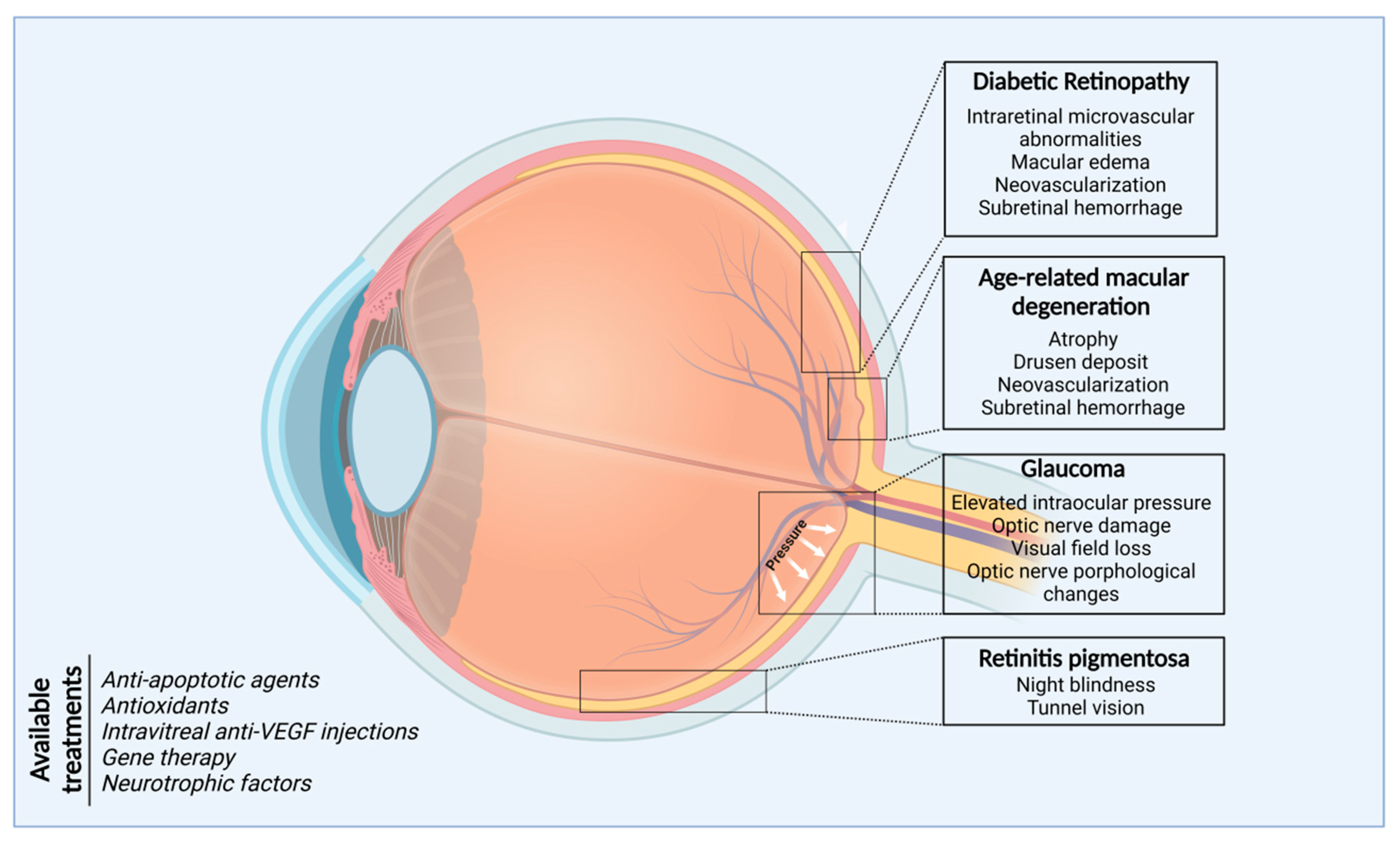 Ijms 24 13079 g002 Ijms 24 13079 g002