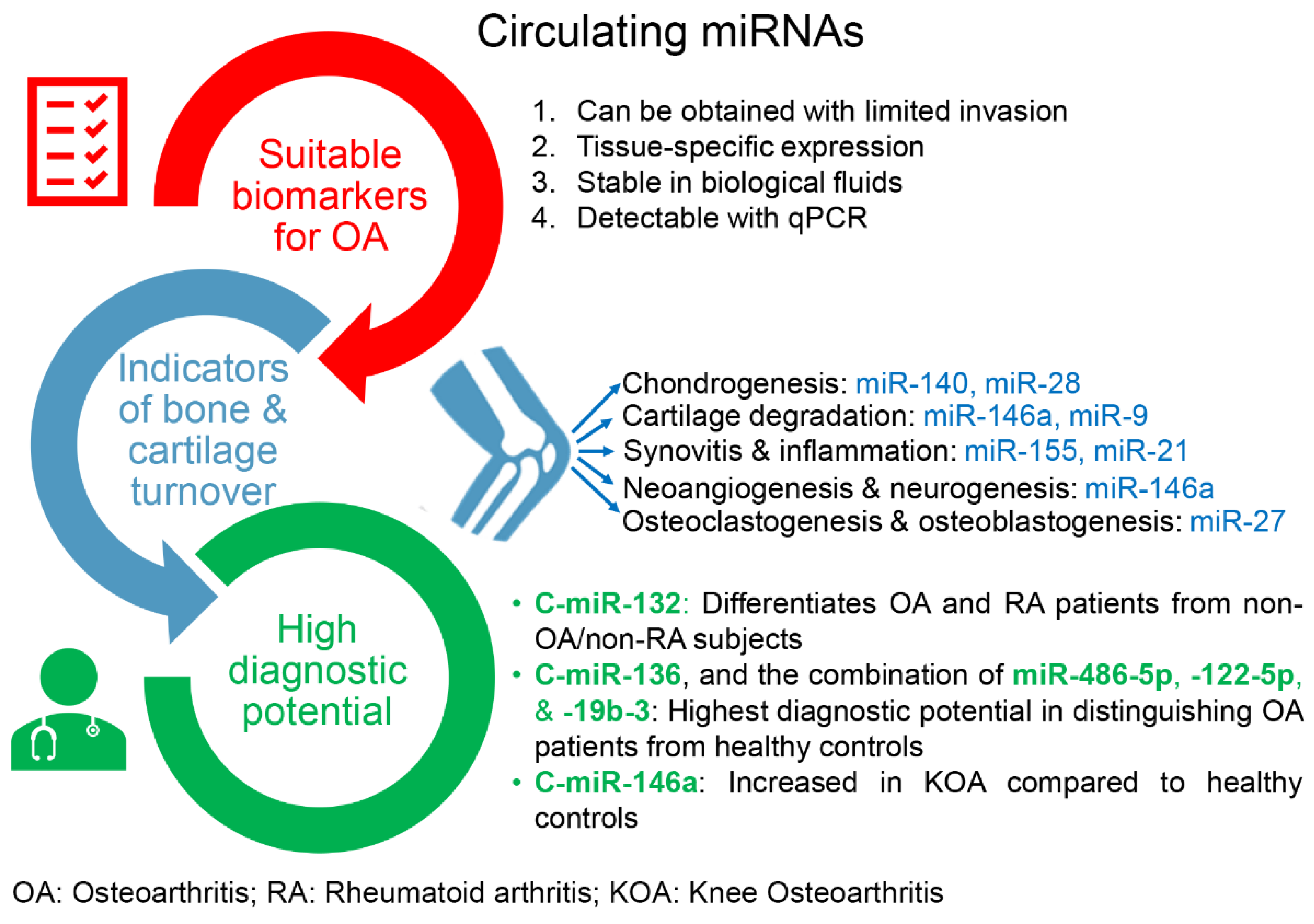 IJMS | Free Full-Text | Exploring The Feasibility Of Circulating MiRNAs ...