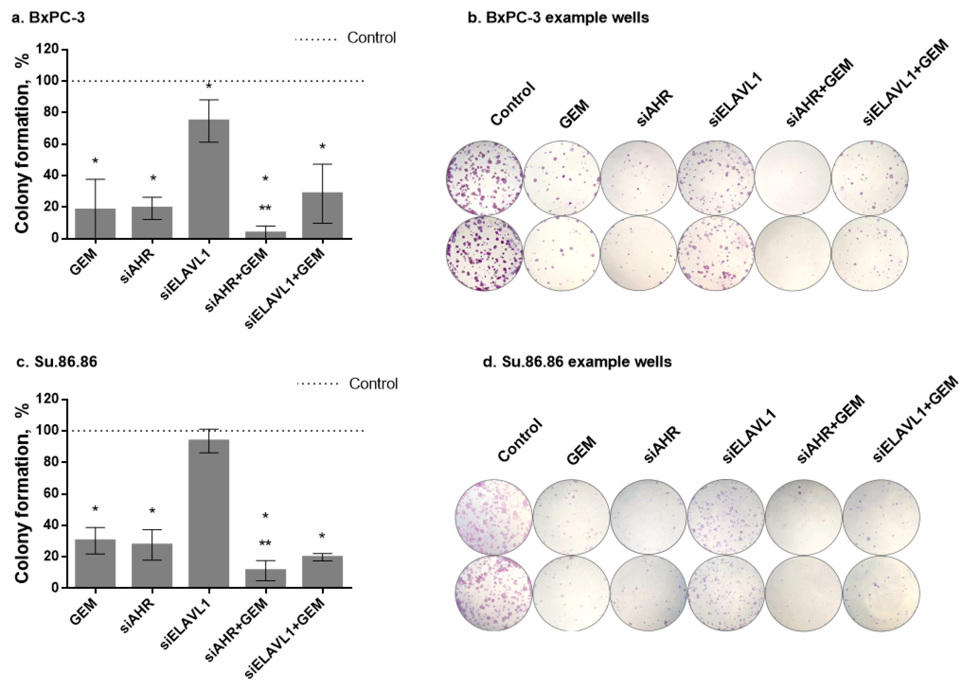 Ijms 24 13155 g009 Ijms 24 13155 g009