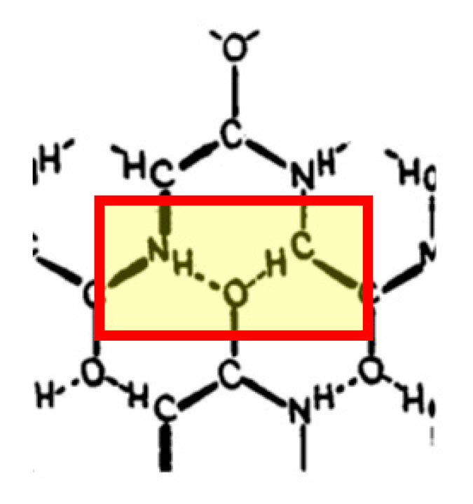 Ijms 24 13165 g001 Ijms 24 13165 g001