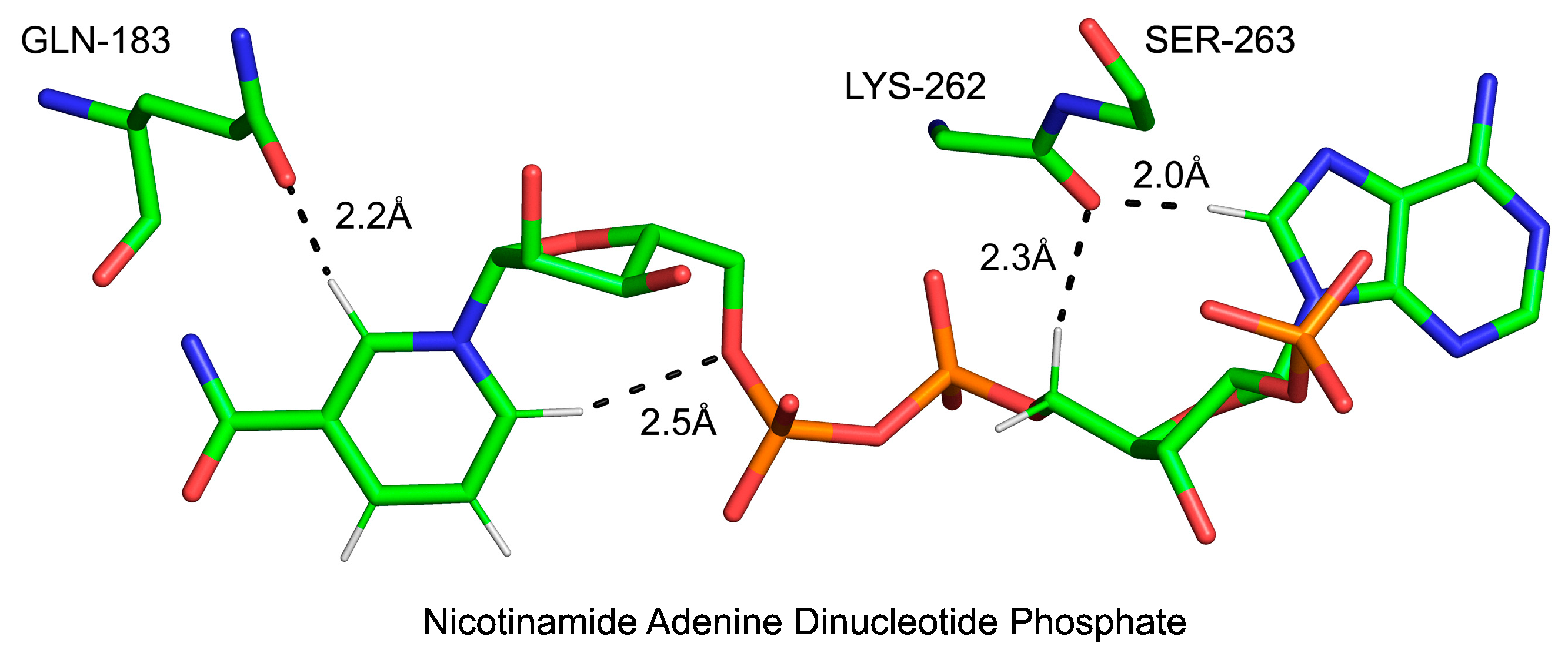 Ijms 24 13165 g010 Ijms 24 13165 g010