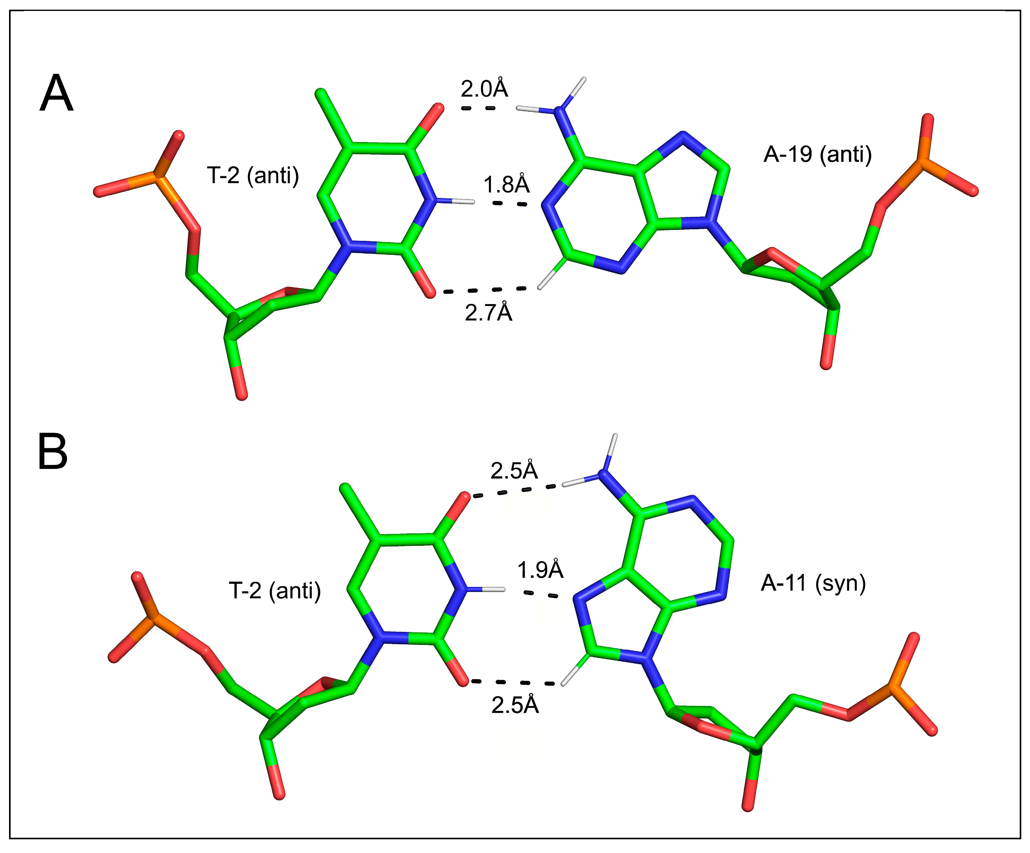 Ijms 24 13165 g011 Ijms 24 13165 g011