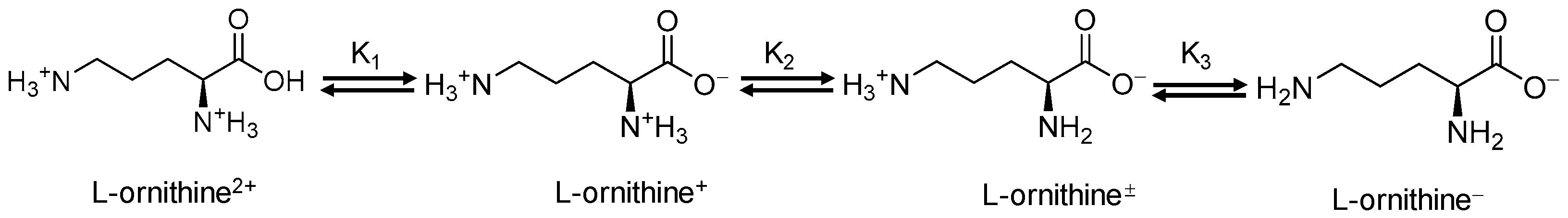 Ijms 24 13174 sch001