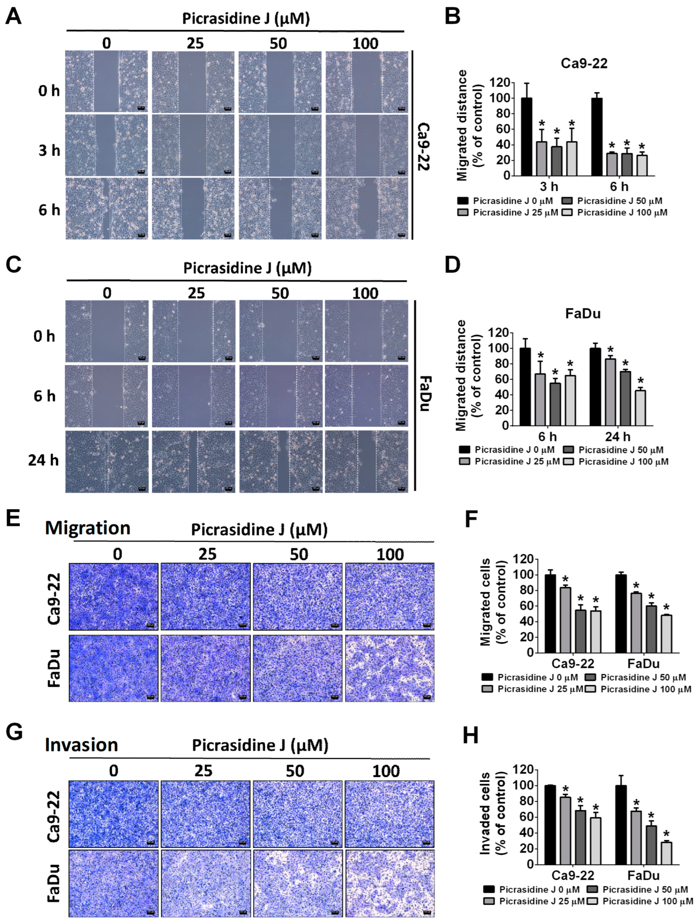 Ijms 24 13230 g002 Ijms 24 13230 g002