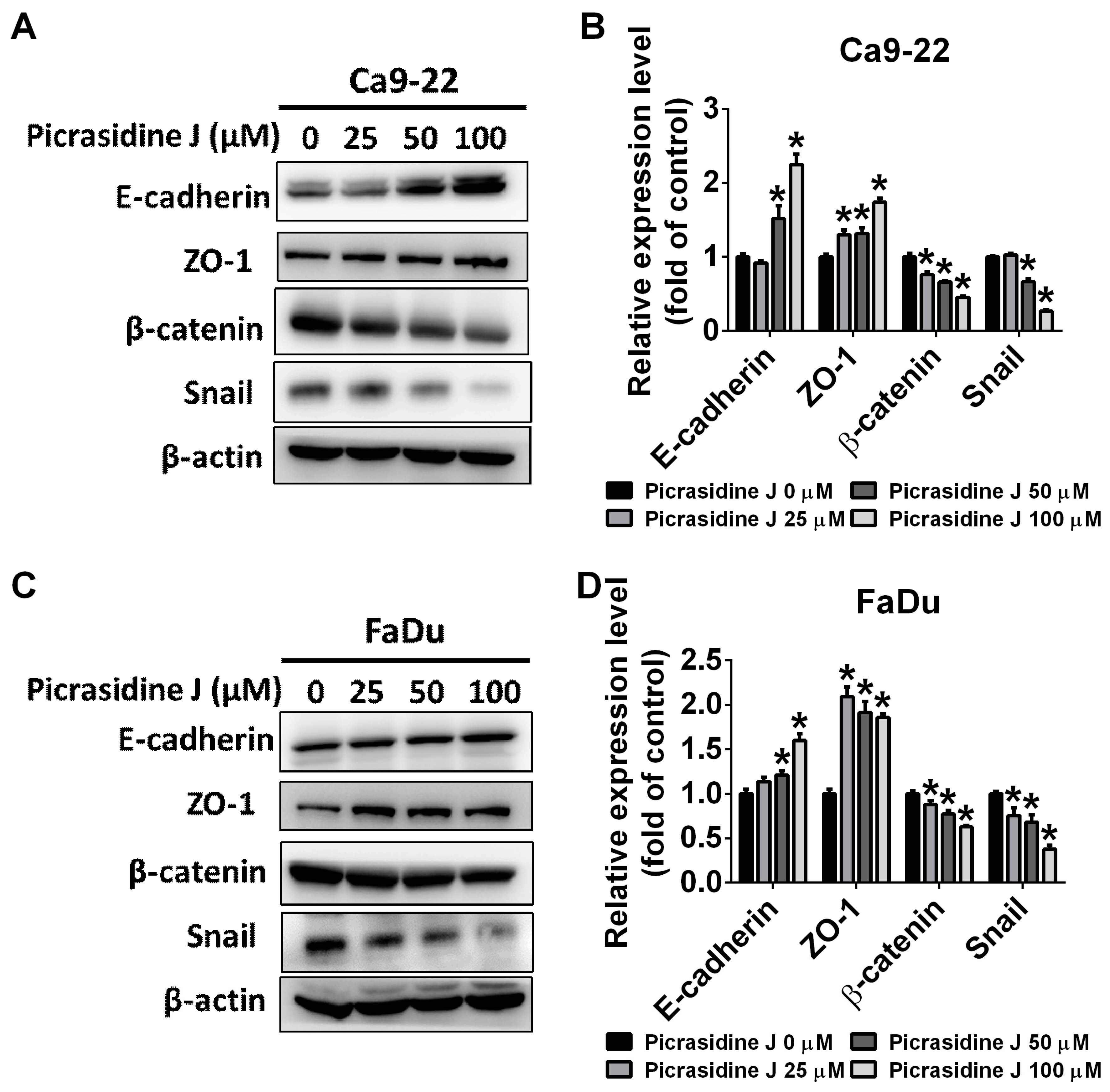 Ijms 24 13230 g003 Ijms 24 13230 g003