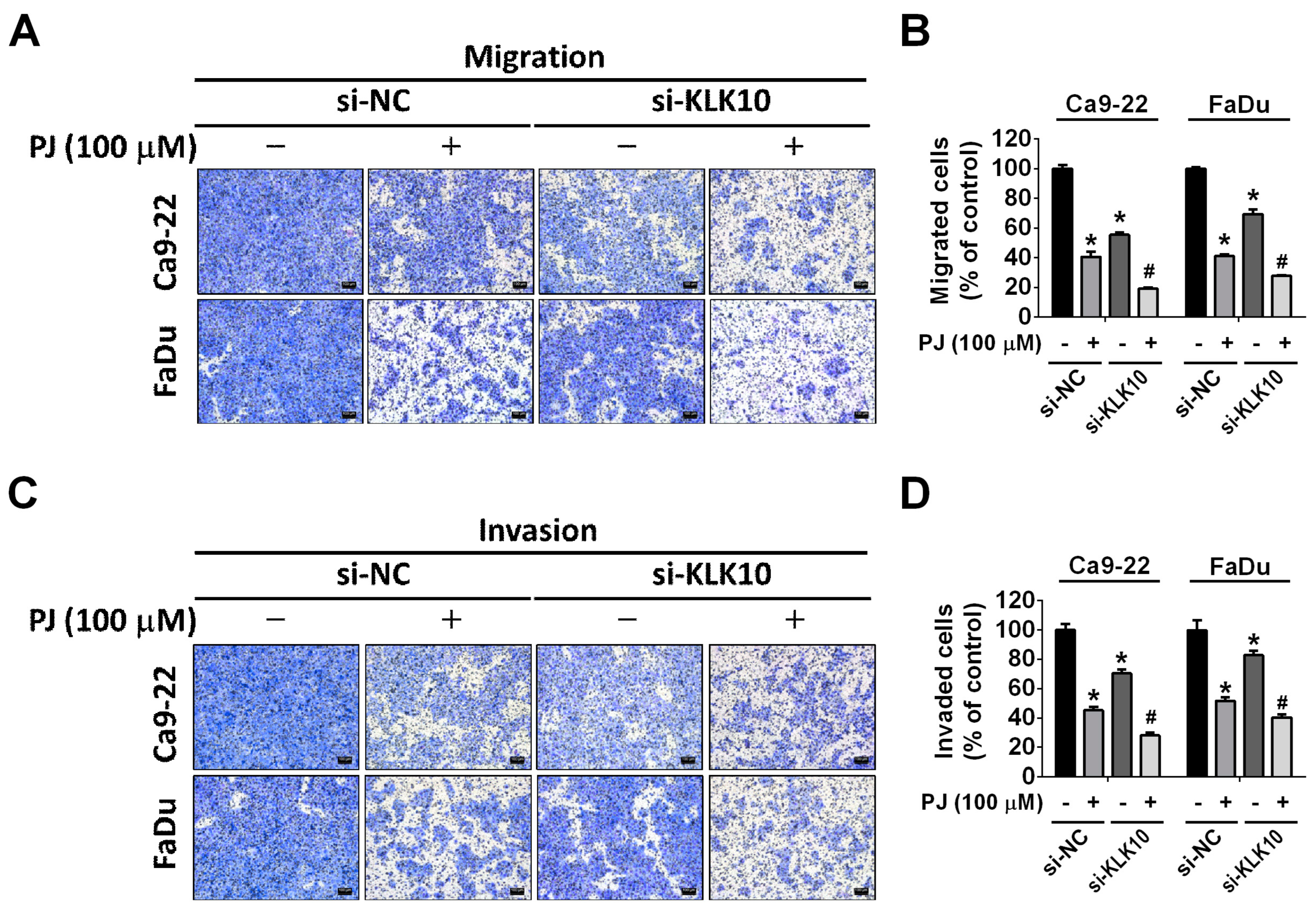 Ijms 24 13230 g005 Ijms 24 13230 g005